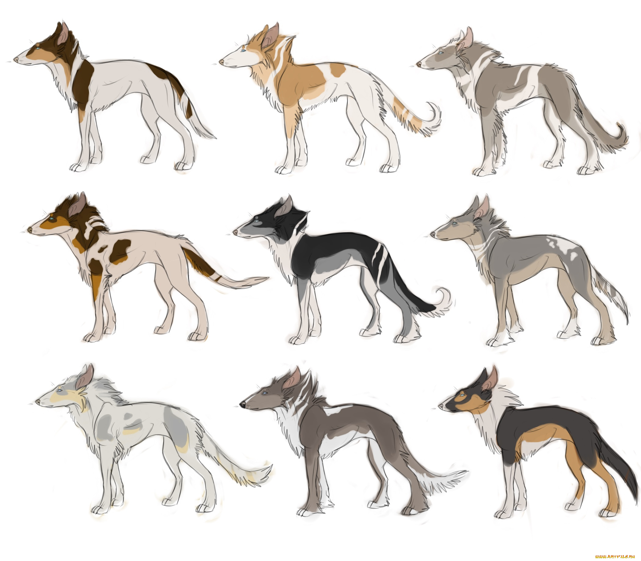 рисованные, животные, собаки