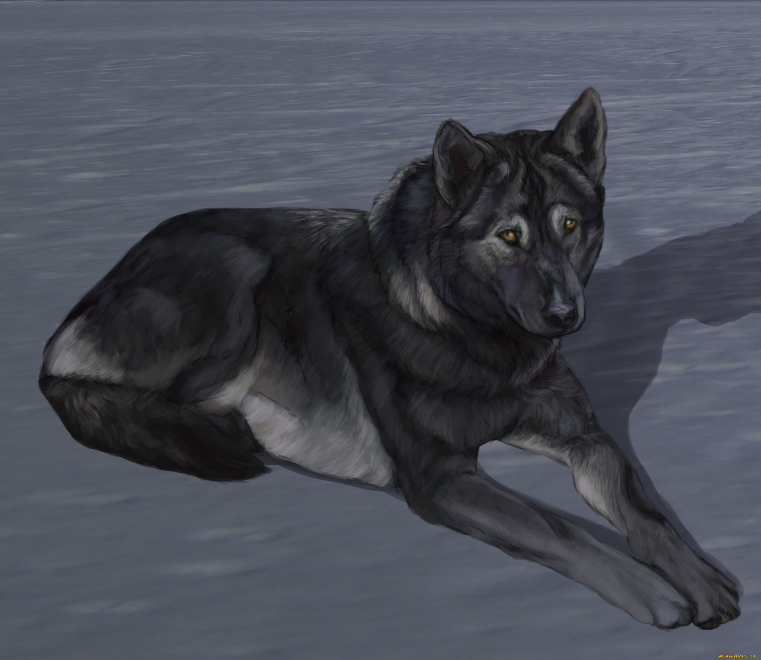 рисованные, животные, собаки, собака