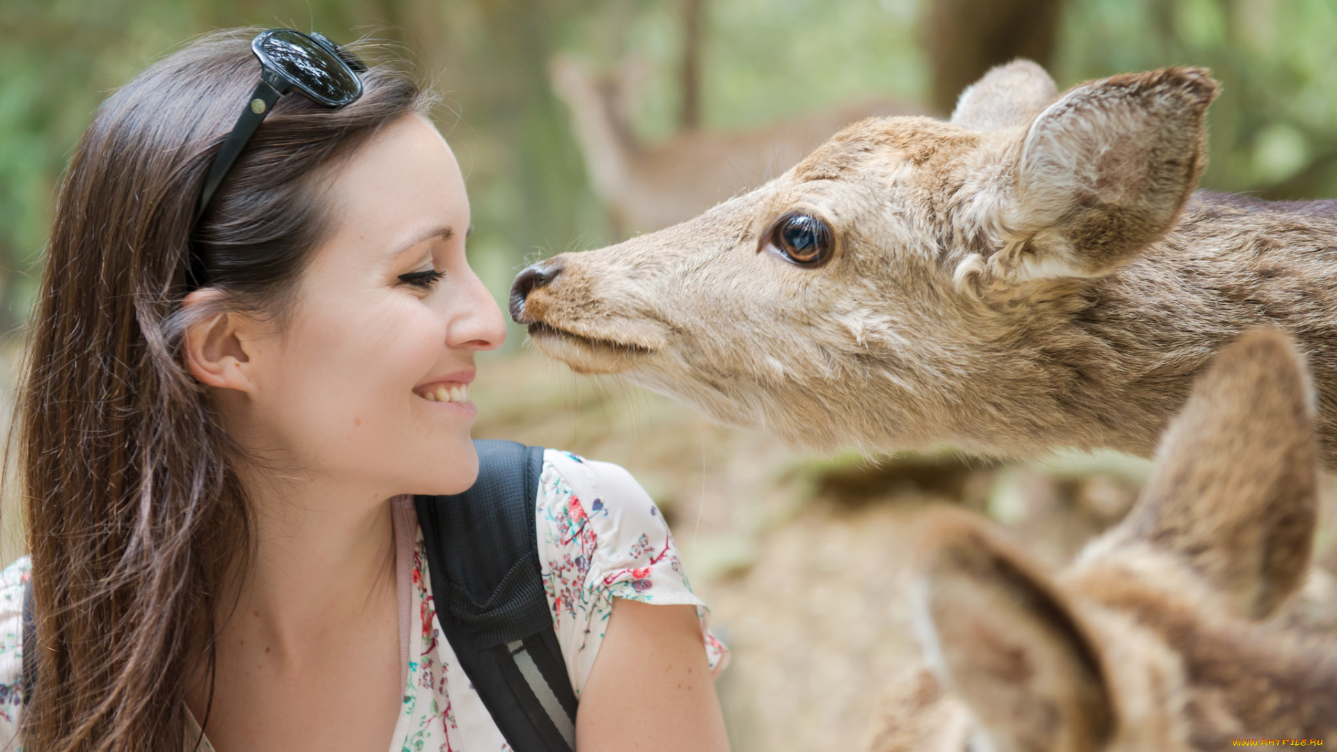 девушки, -unsort, , лица, , портреты, животные, профиль, улыбка, шатенка, лицо, девушка