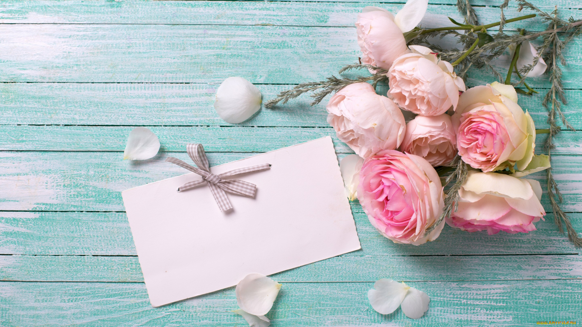 цветы, розы, pink, roses, flowers, soft, букет