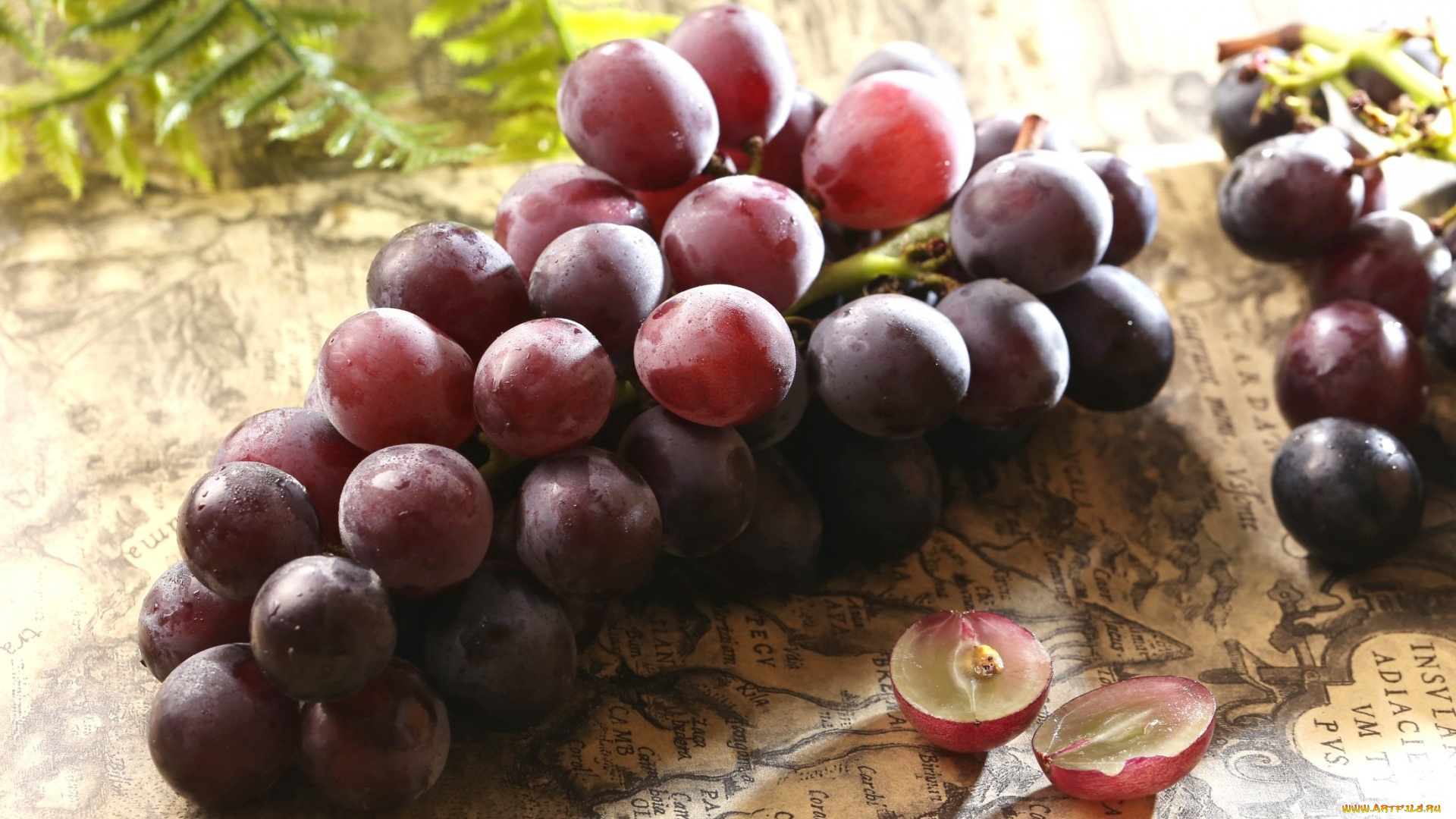 еда, виноград, карта, ягоды, гроздь
