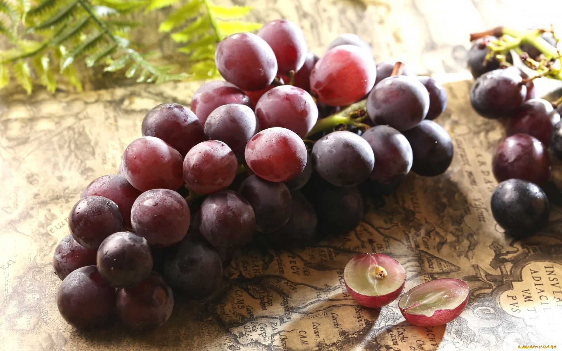 еда, виноград, карта, ягоды, гроздь