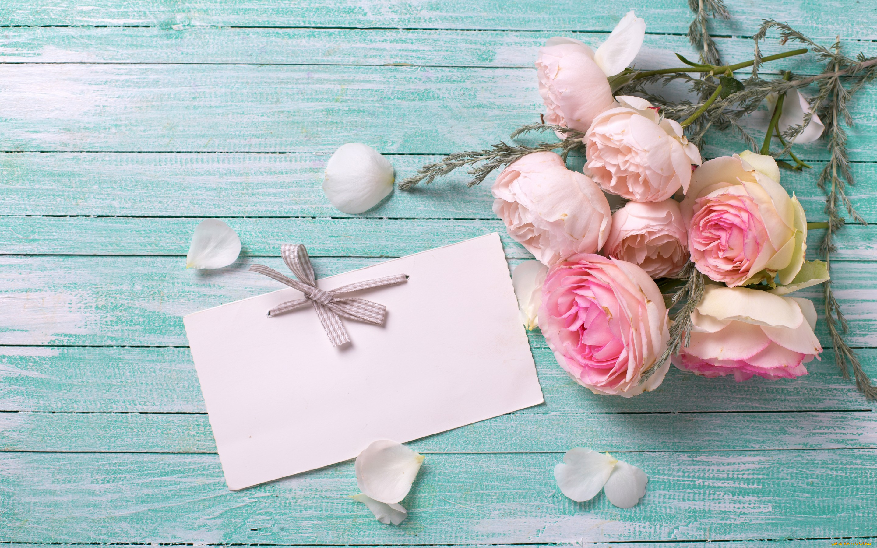 цветы, розы, pink, roses, flowers, soft, букет