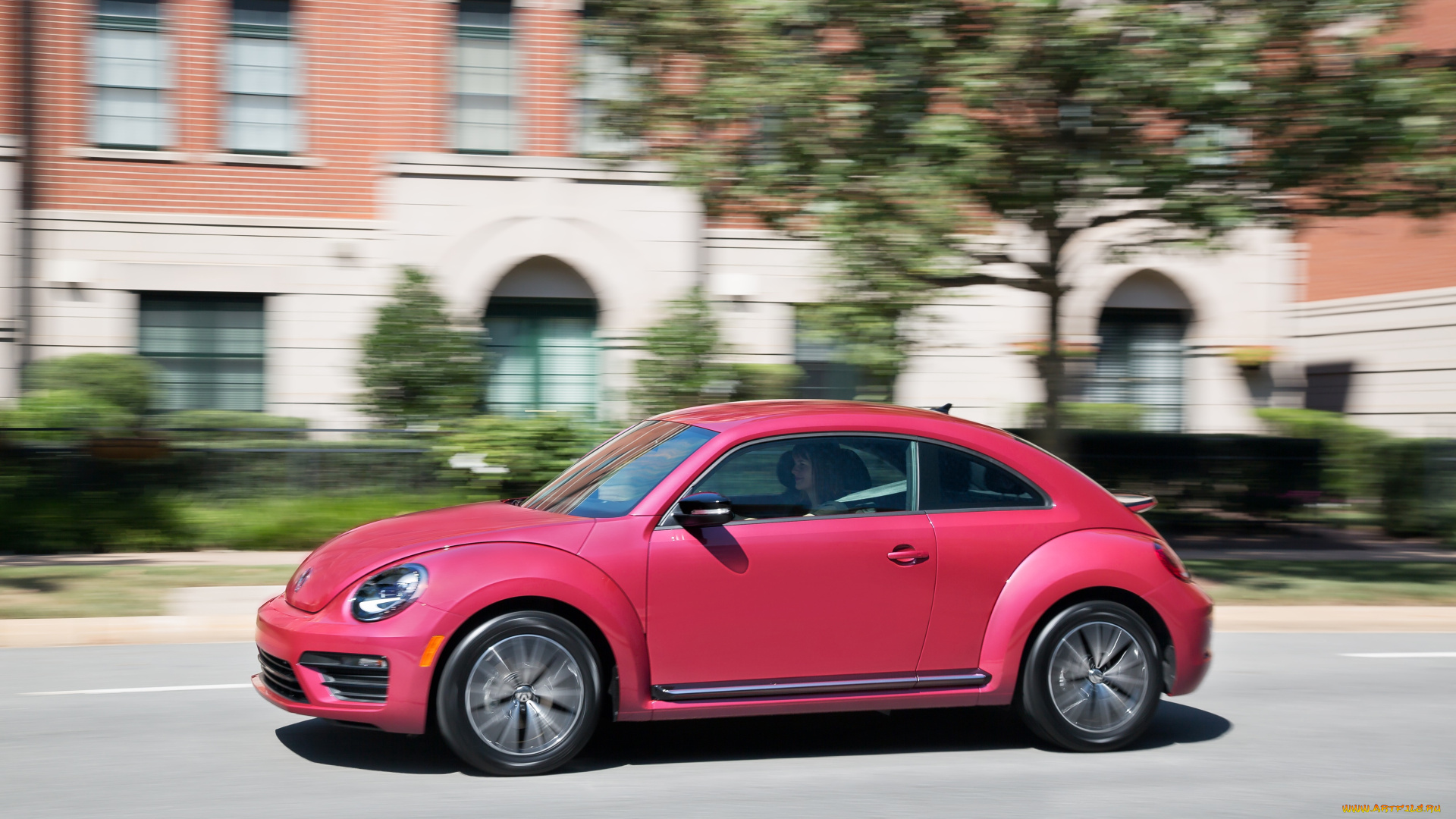 автомобили, volkswagen, 2017г, pinkbeetle