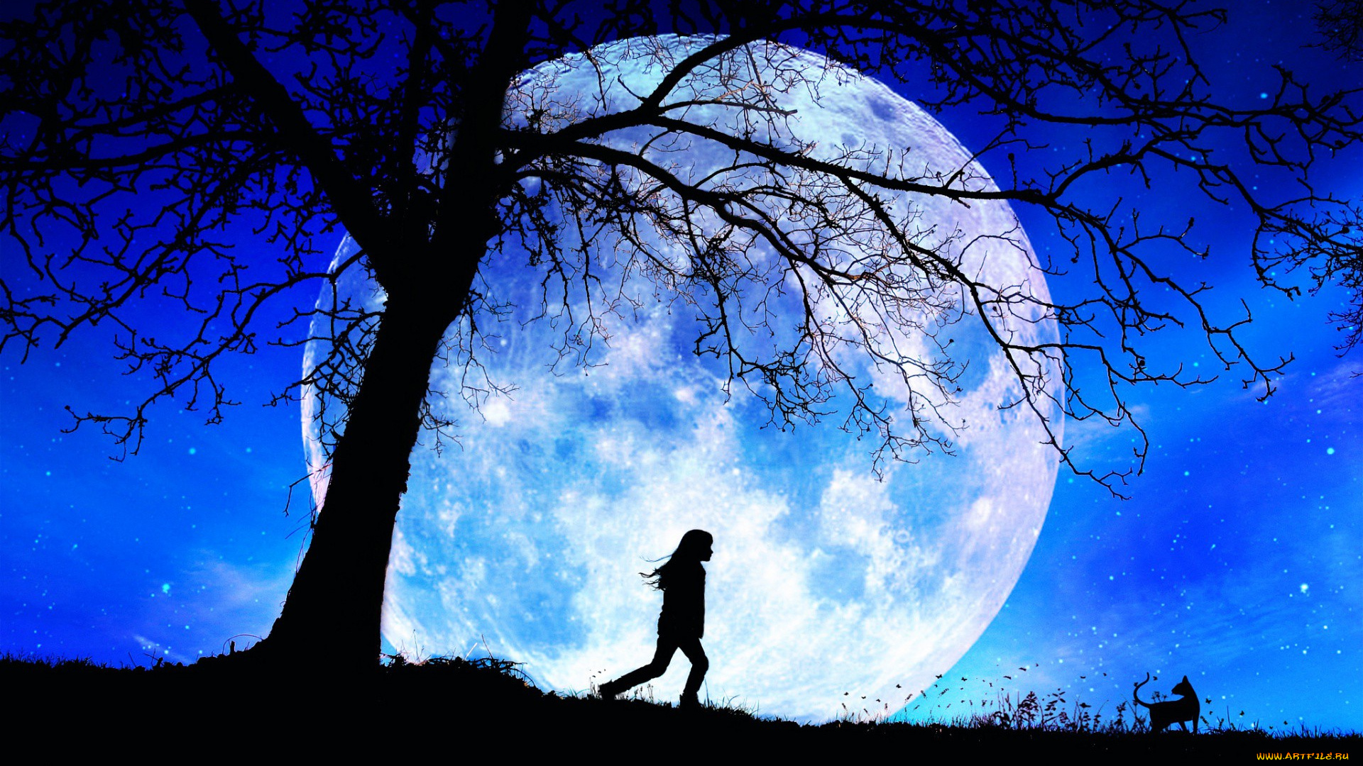 векторная, графика, природа, , nature, кошка, луна, дерево, девушка, силуэты, ночь