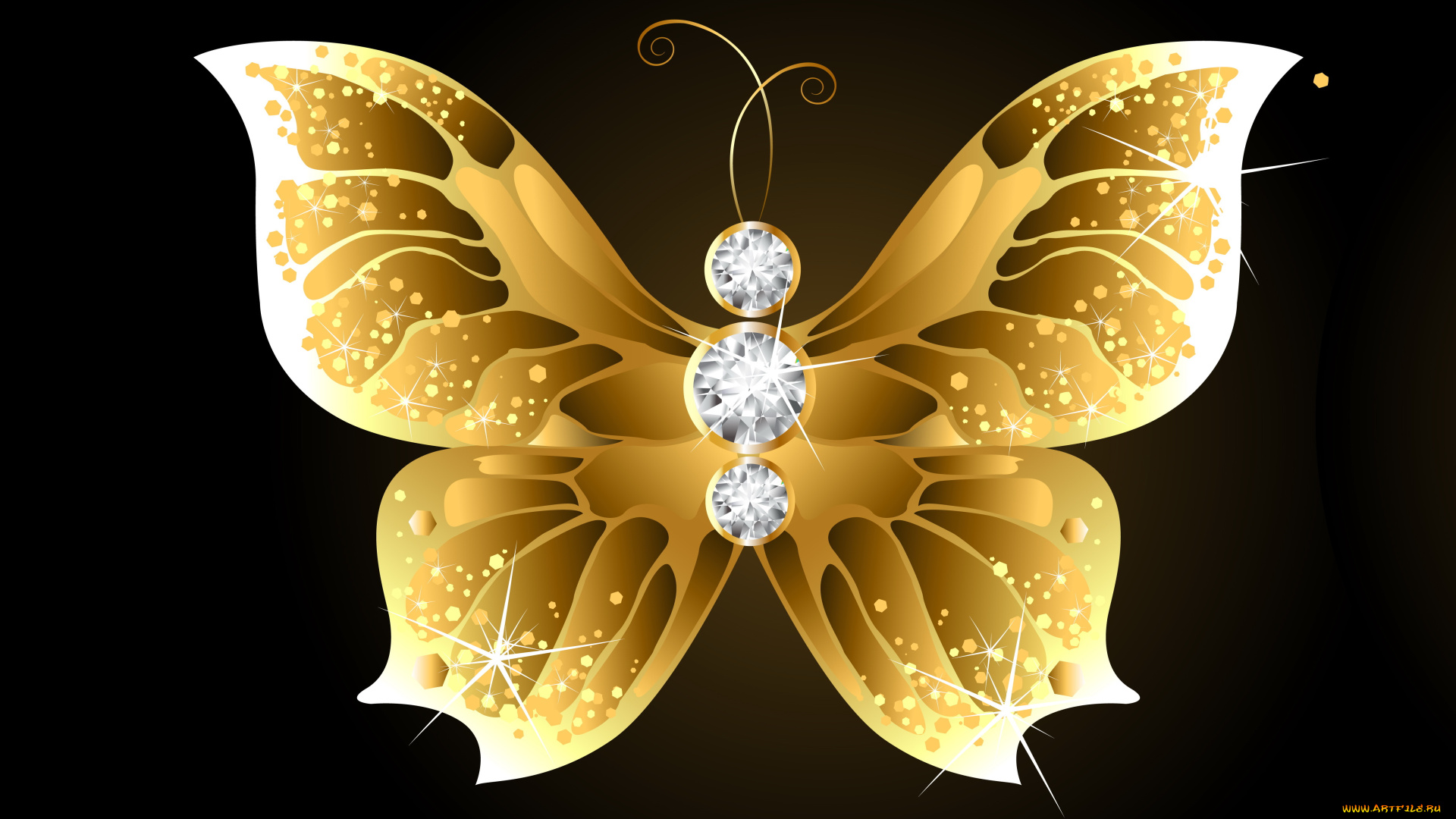 векторная, графика, животные, , animals, бабочка