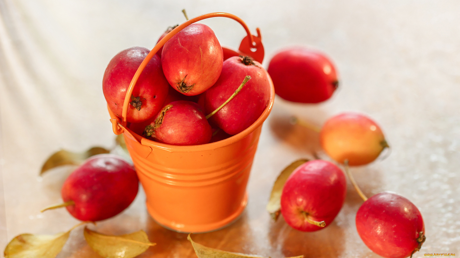 еда, Яблоки, листья, яблочки, ведерко