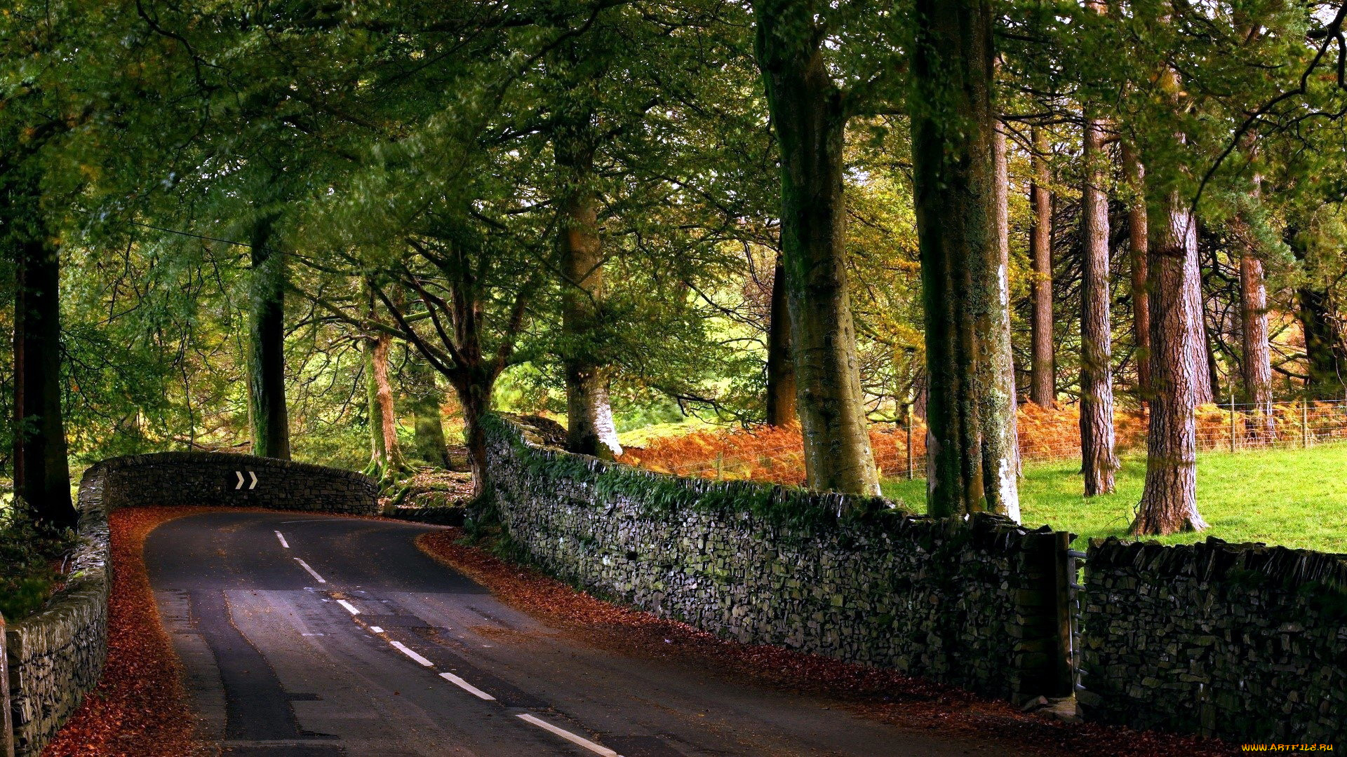 природа, дороги, шоссе, крутой, поворот