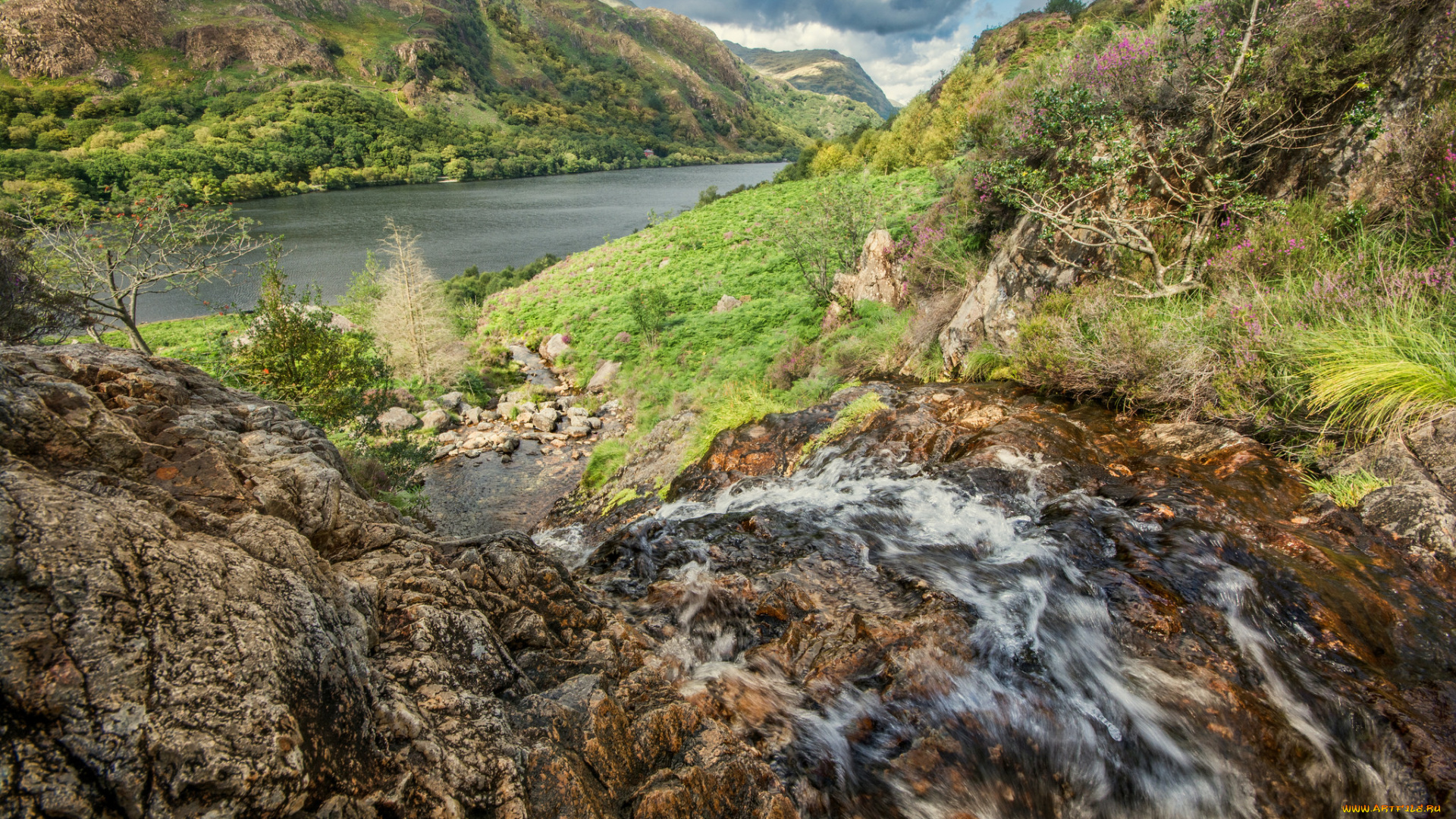 природа, реки, озера, простор