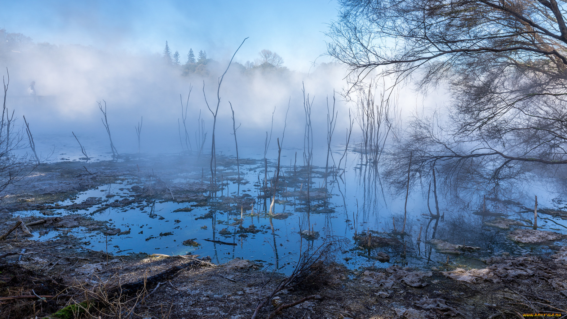 природа, реки, озера, простор