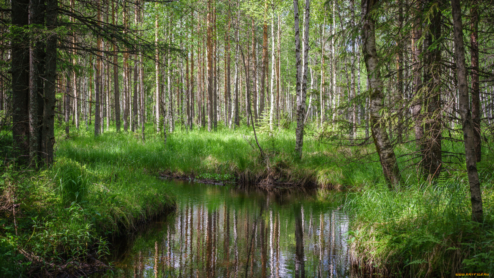 природа, реки, озера, простор