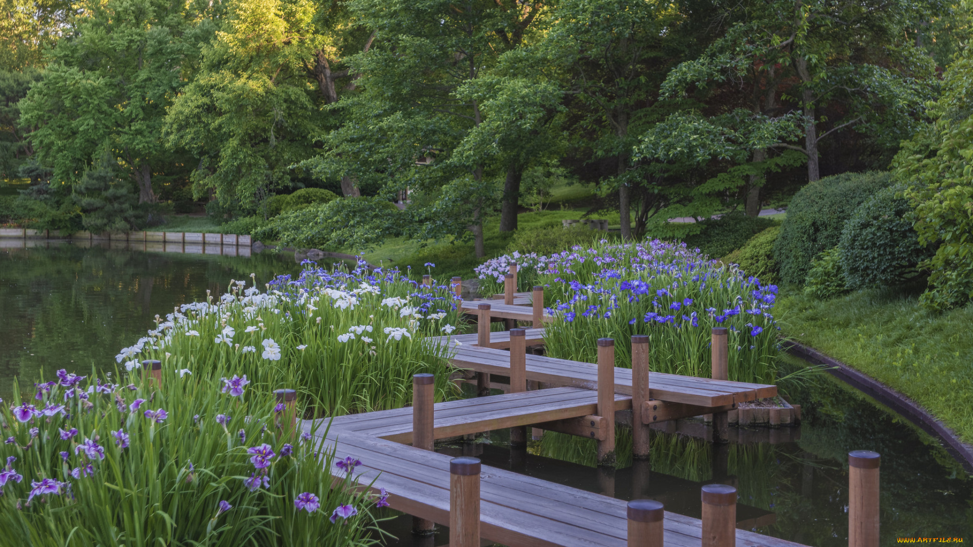 природа, реки, озера, простор