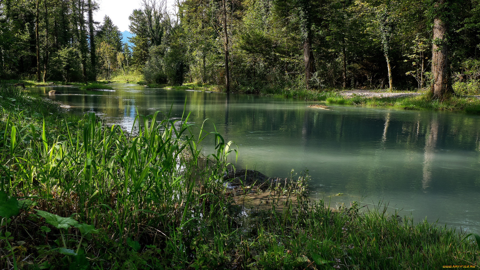 природа, реки, озера, простор