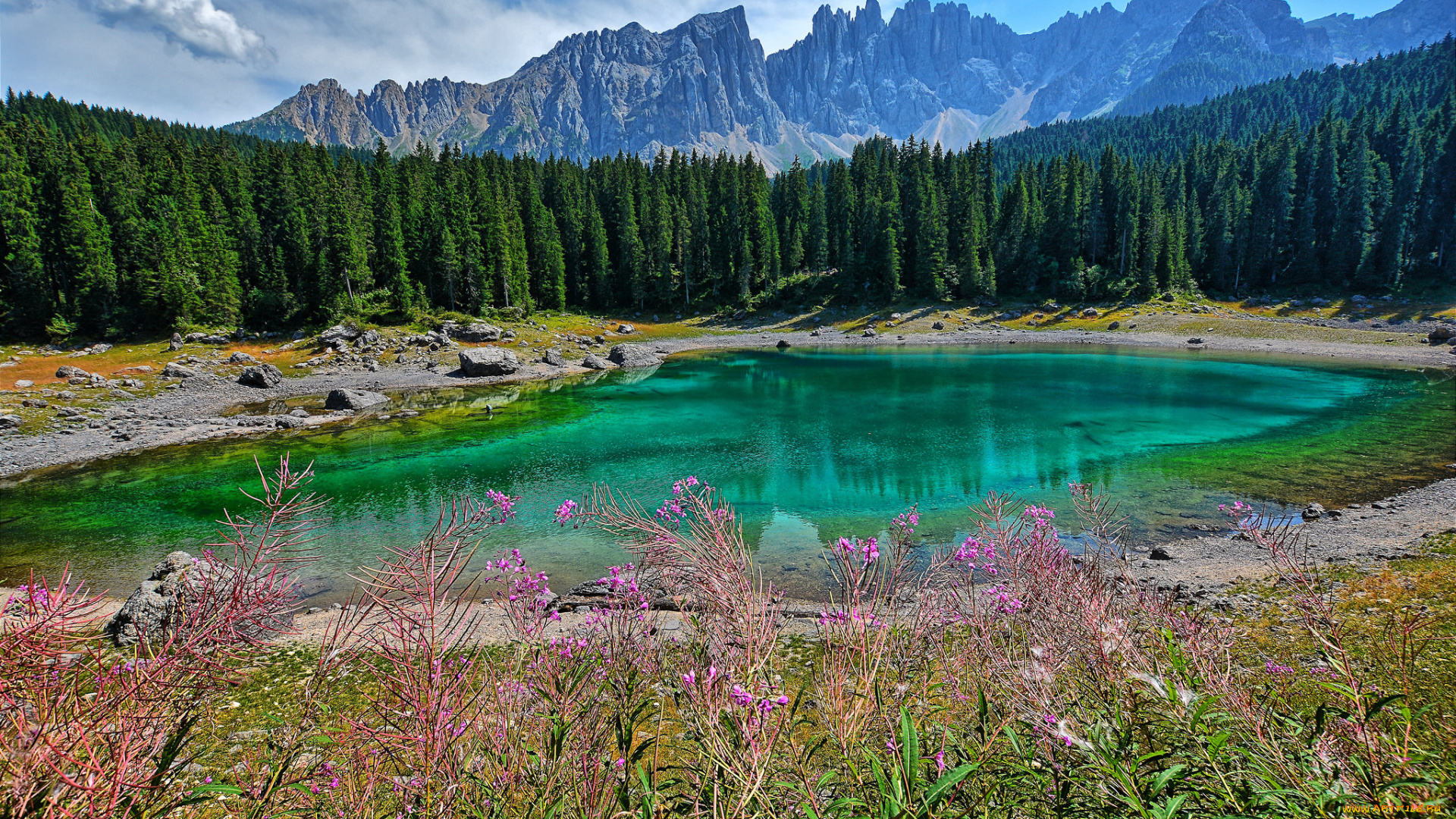 природа, реки, озера, простор