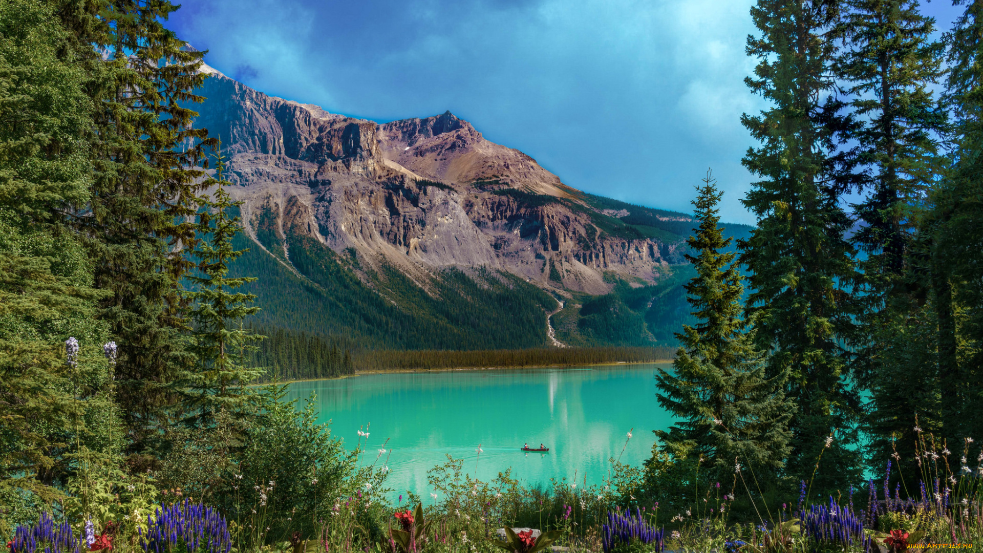 природа, реки, озера, простор