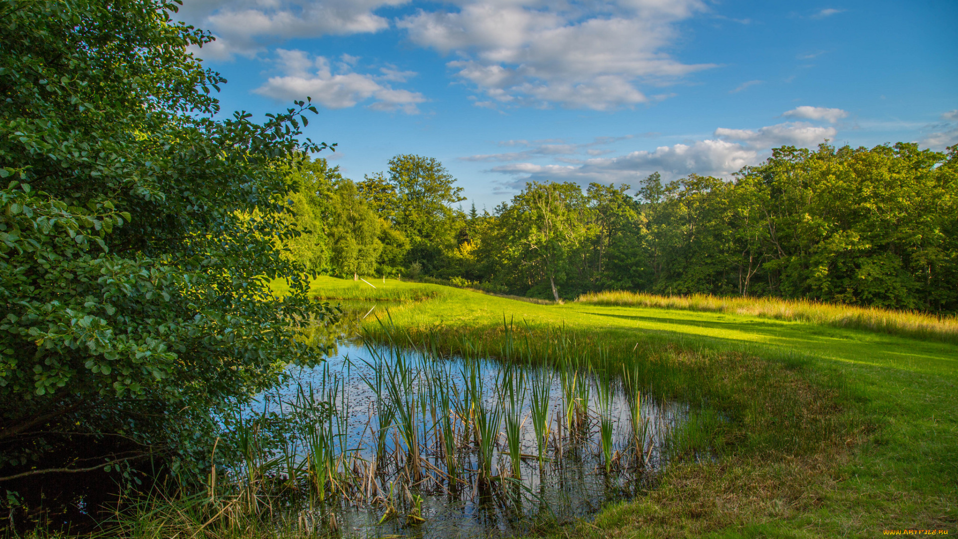природа, реки, озера, простор