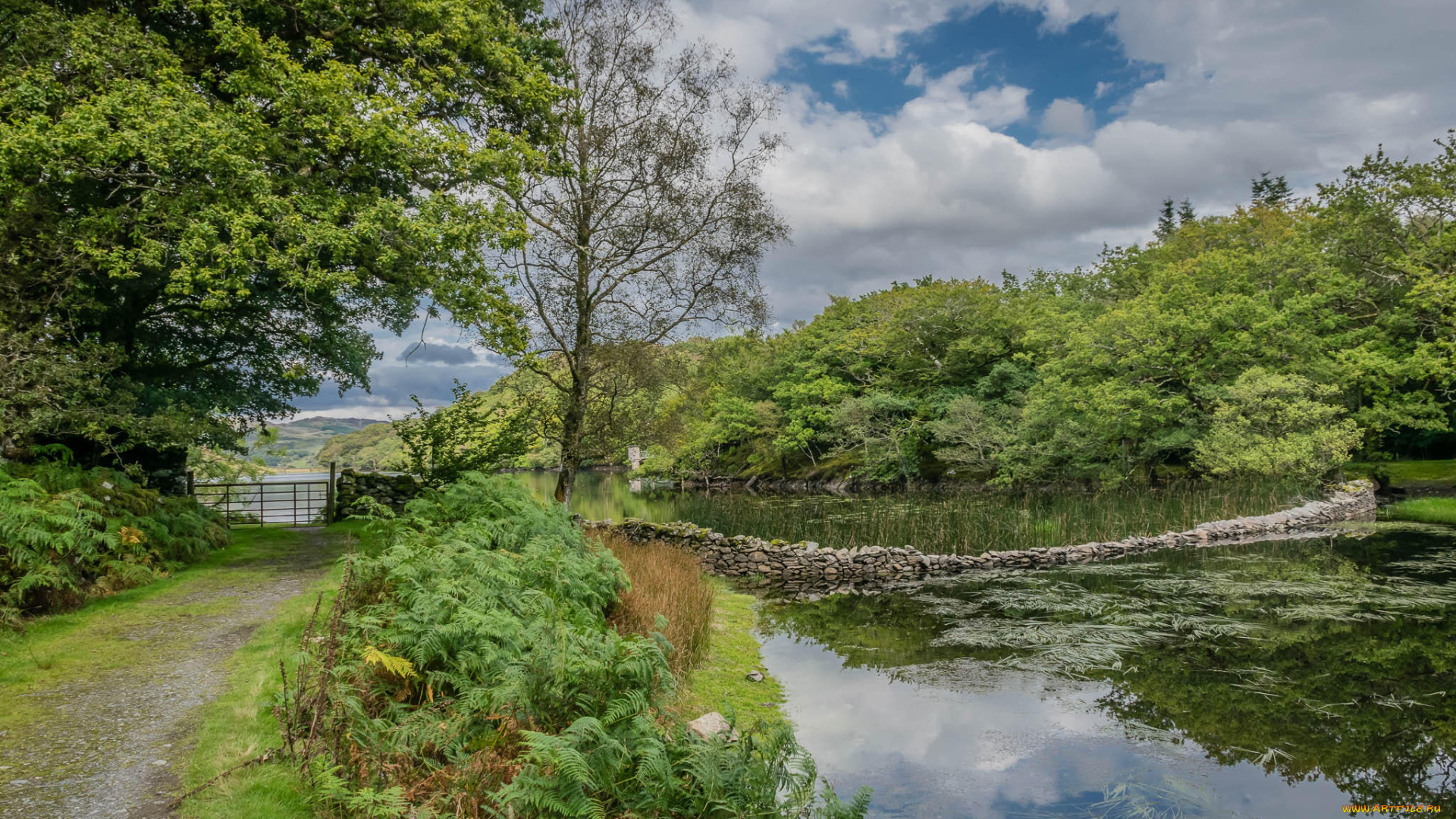 природа, реки, озера, простор