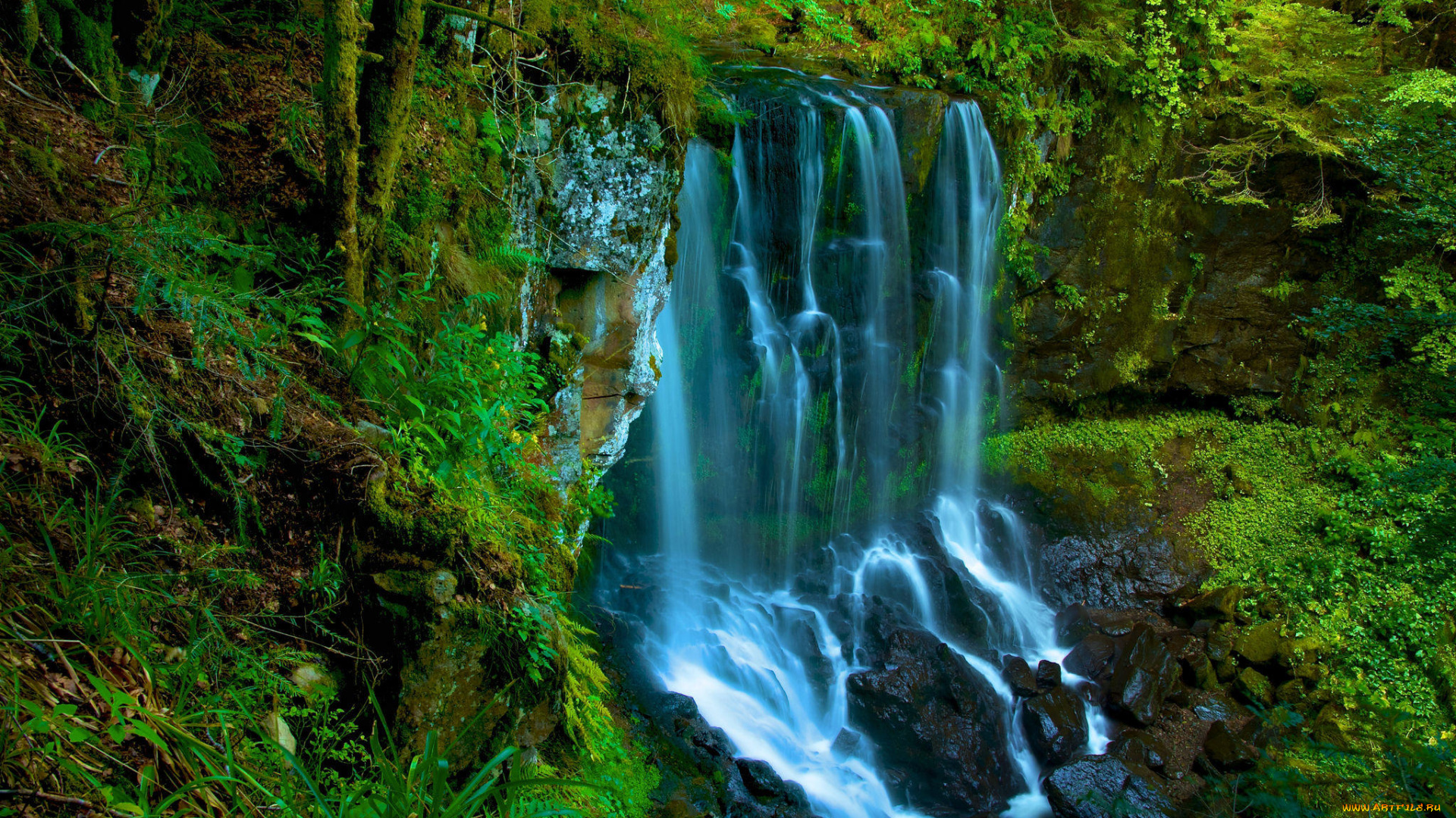 природа, водопады, деревья, скалы, водопад