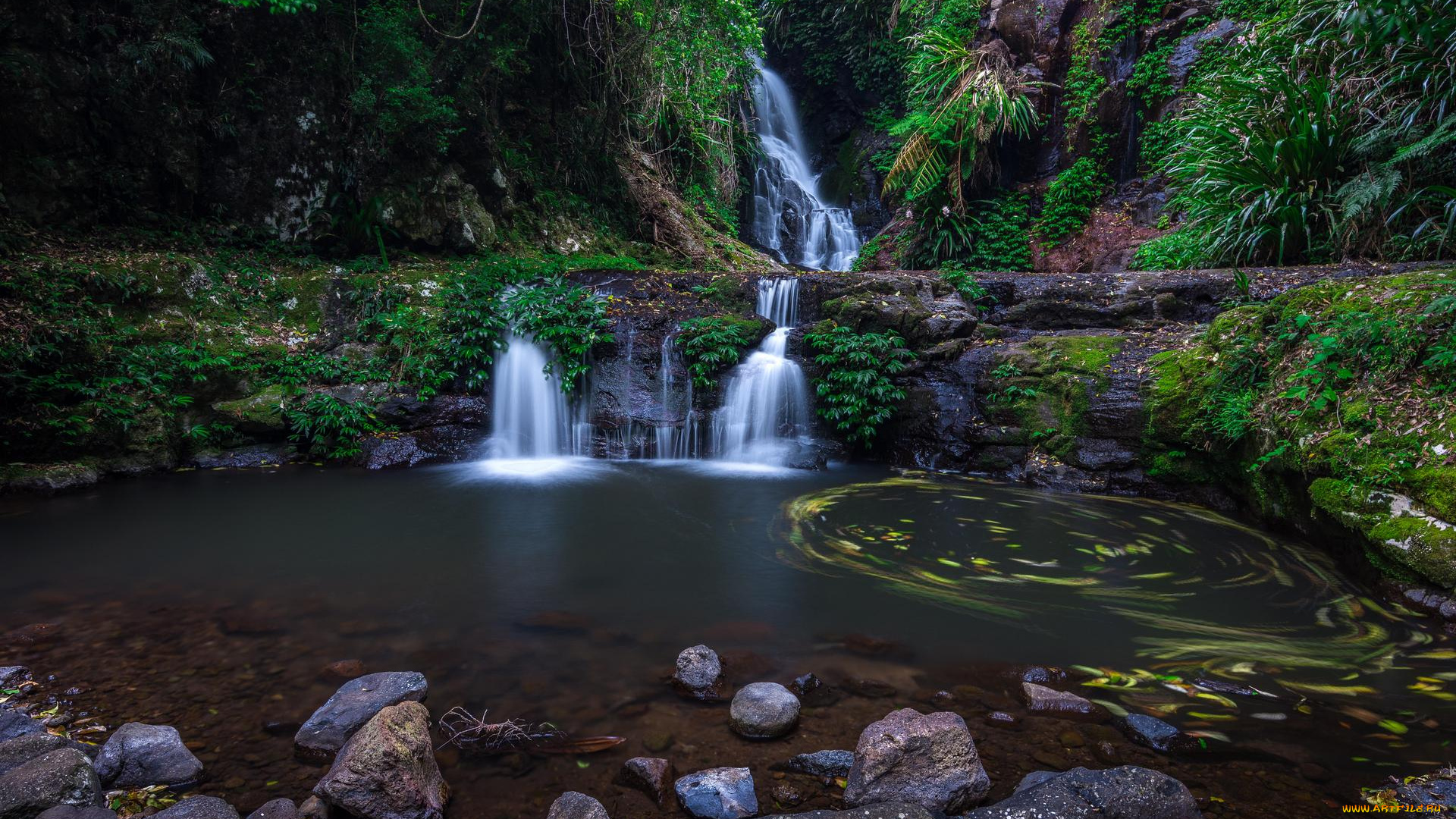 природа, водопады, водоём, водопад, lamington, national, park, скалы, камни