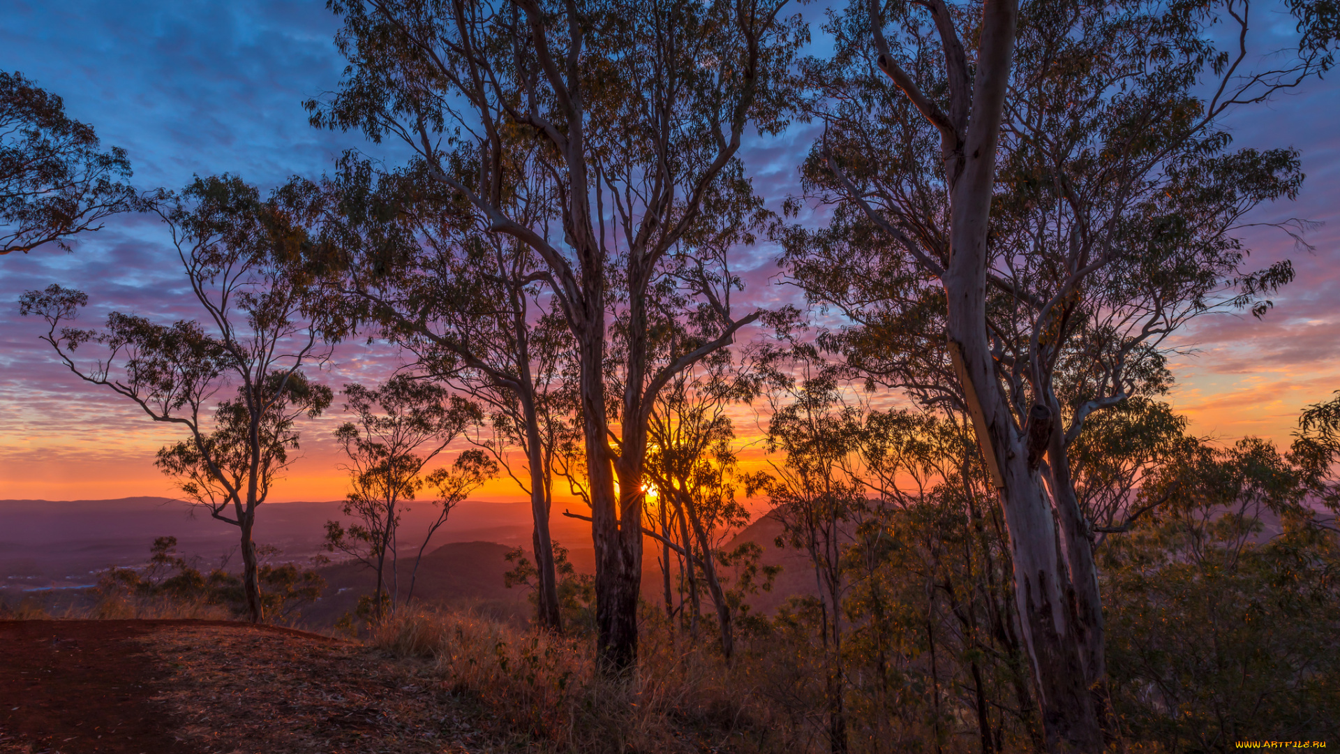 природа, восходы, закаты, простор