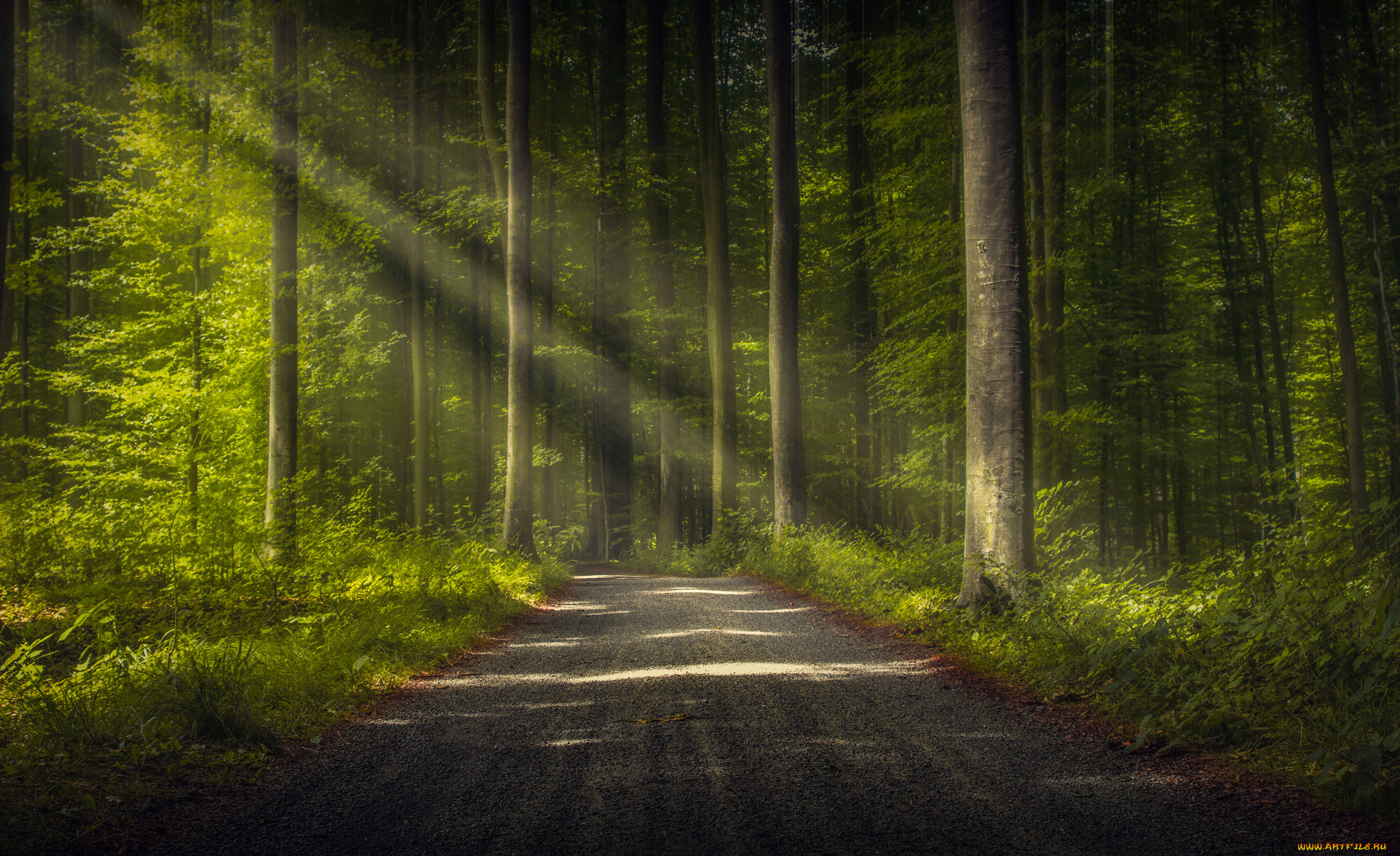 природа, дороги, простор