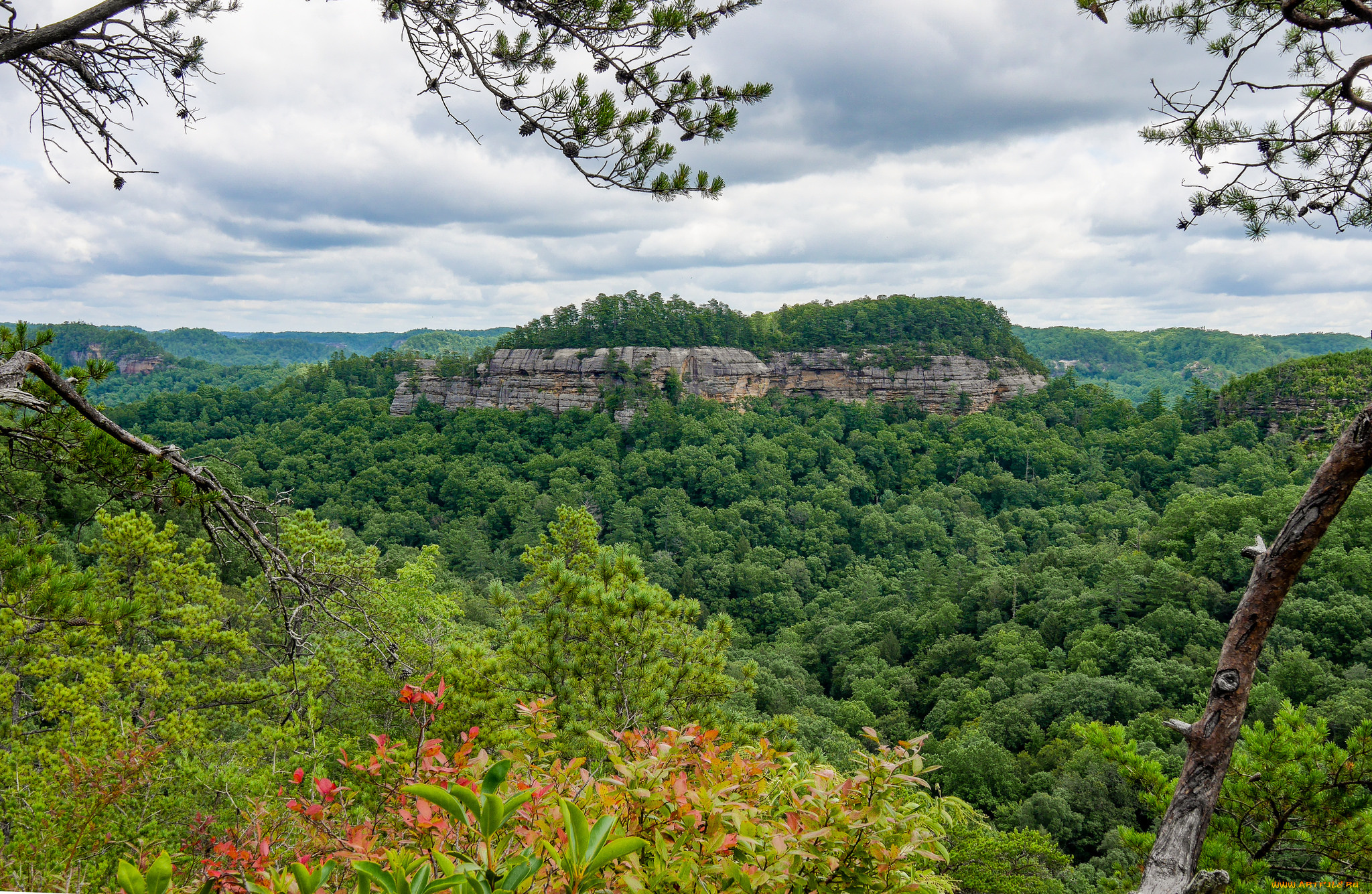 природа, пейзажи, простор