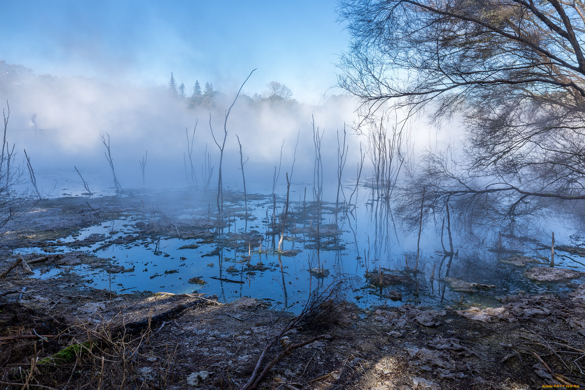 природа, реки, озера, простор