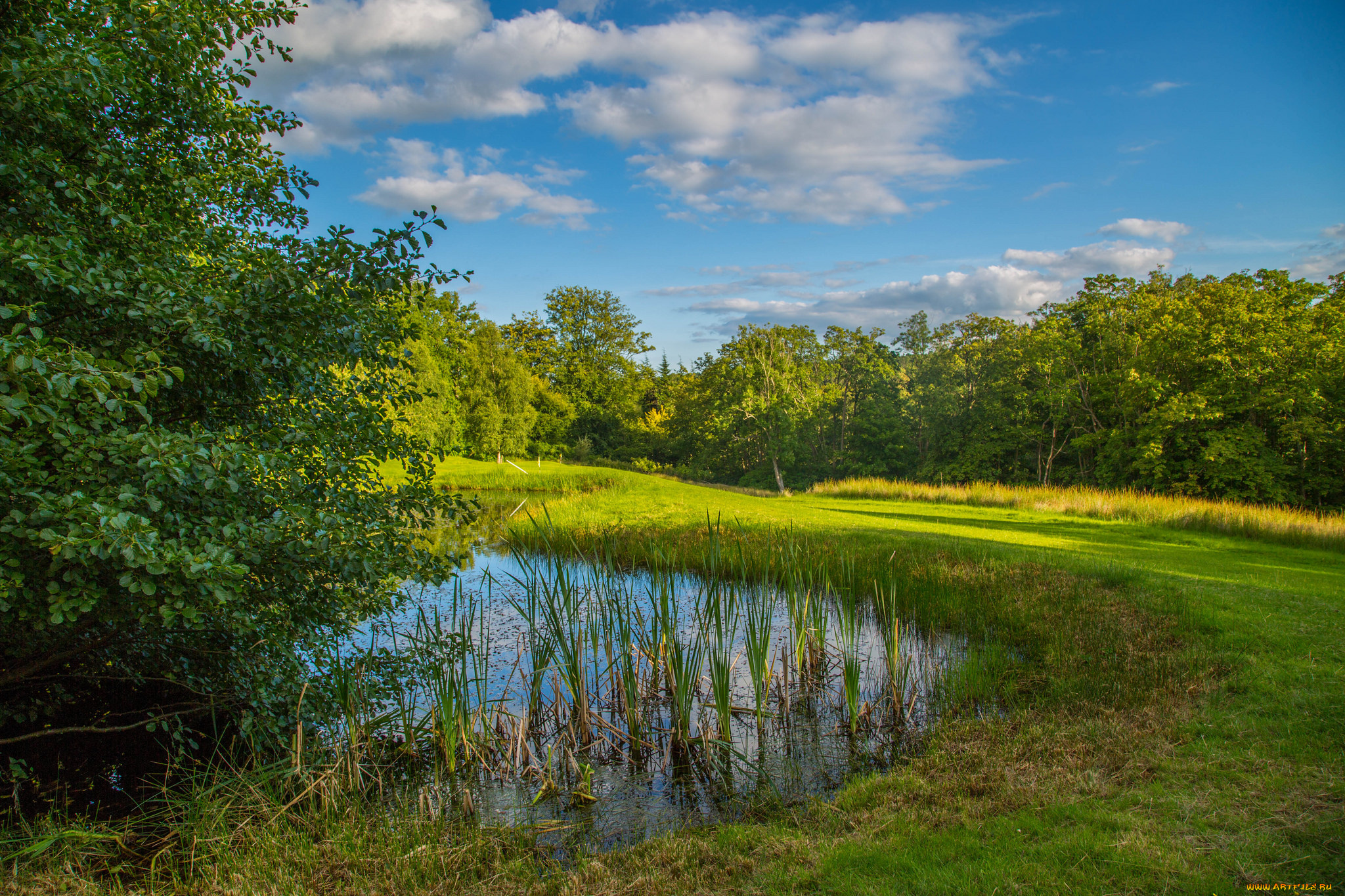 природа, реки, озера, простор