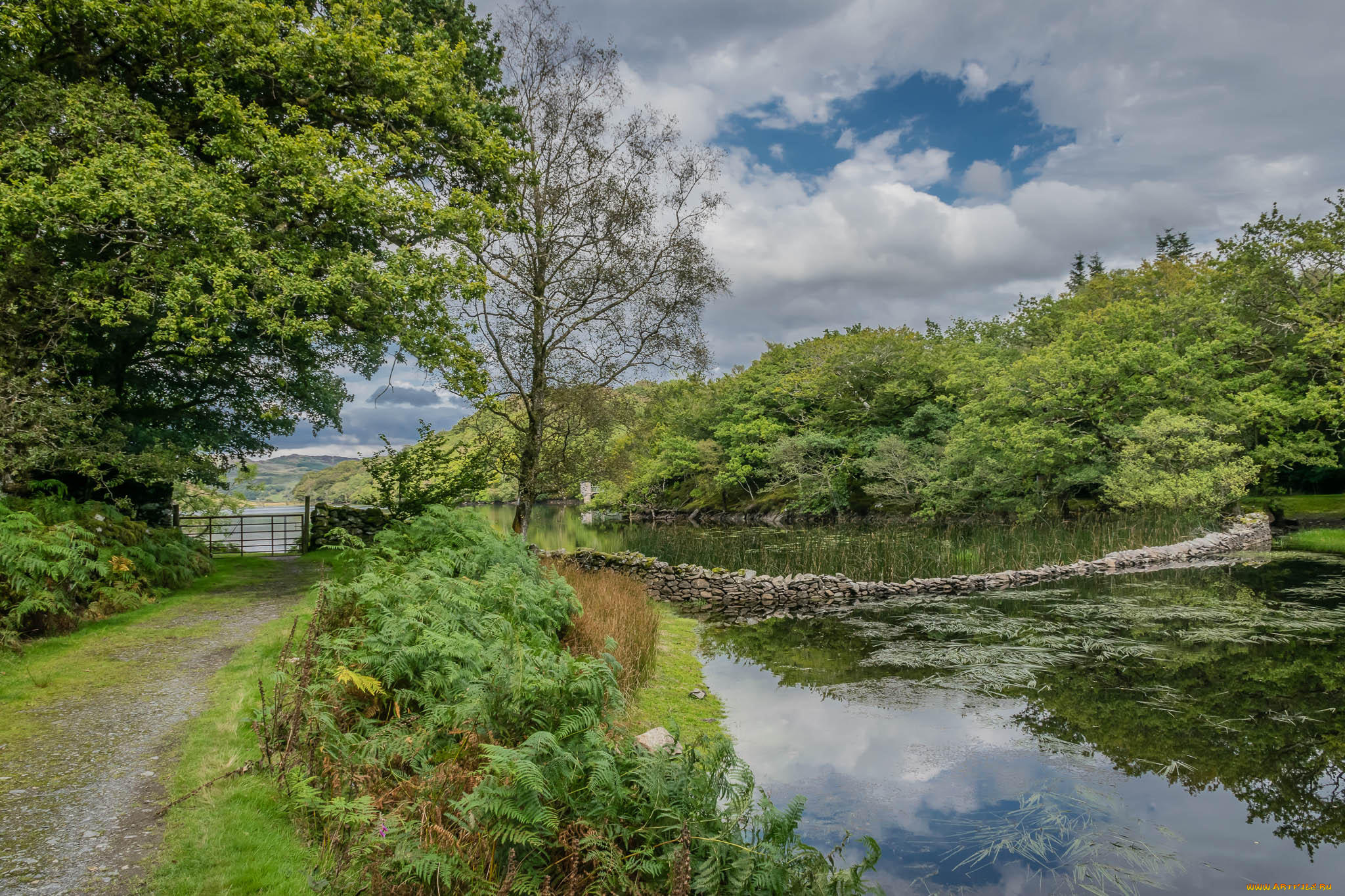 природа, реки, озера, простор