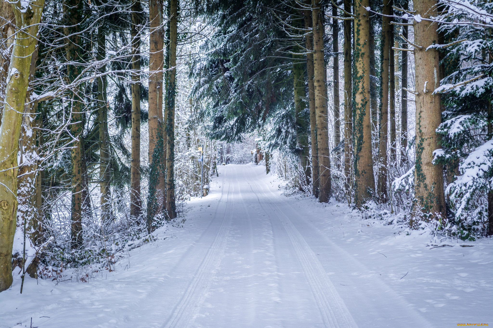 природа, зима, простор