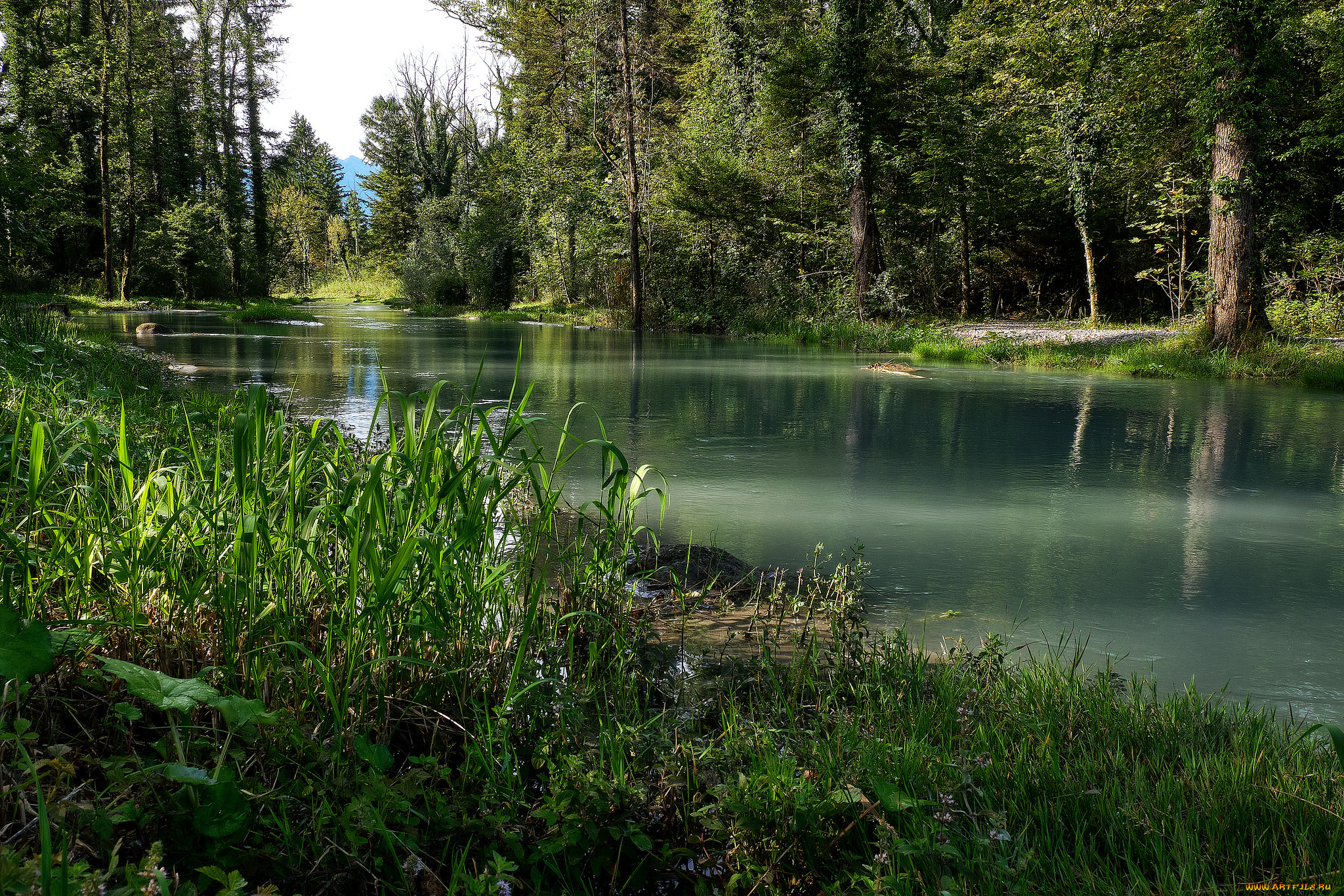 природа, реки, озера, простор