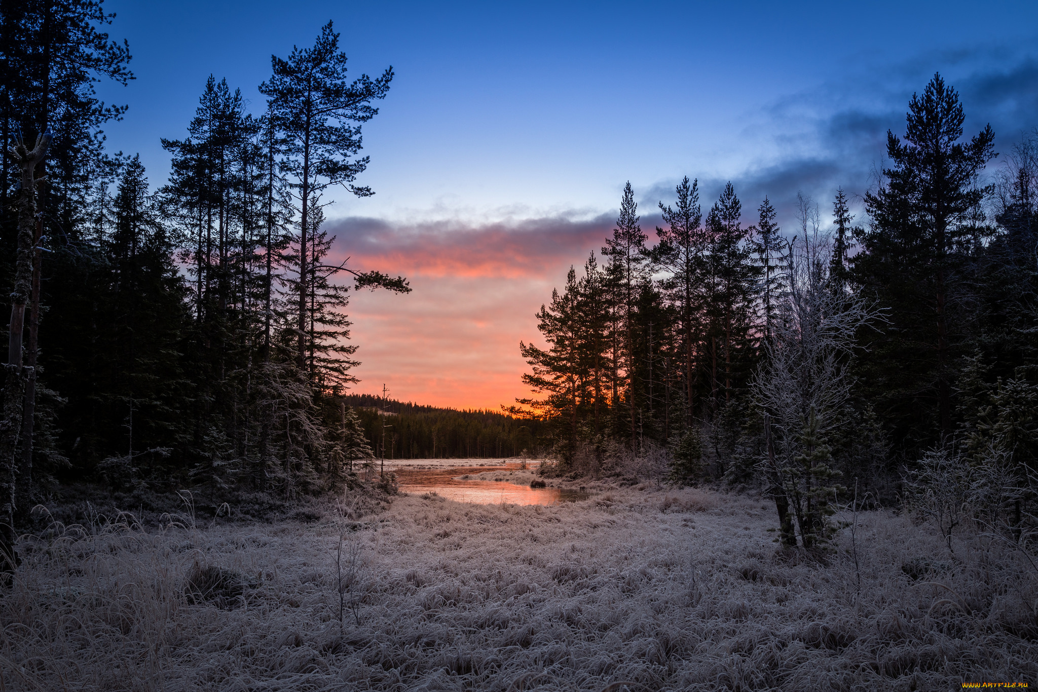 природа, зима, простор