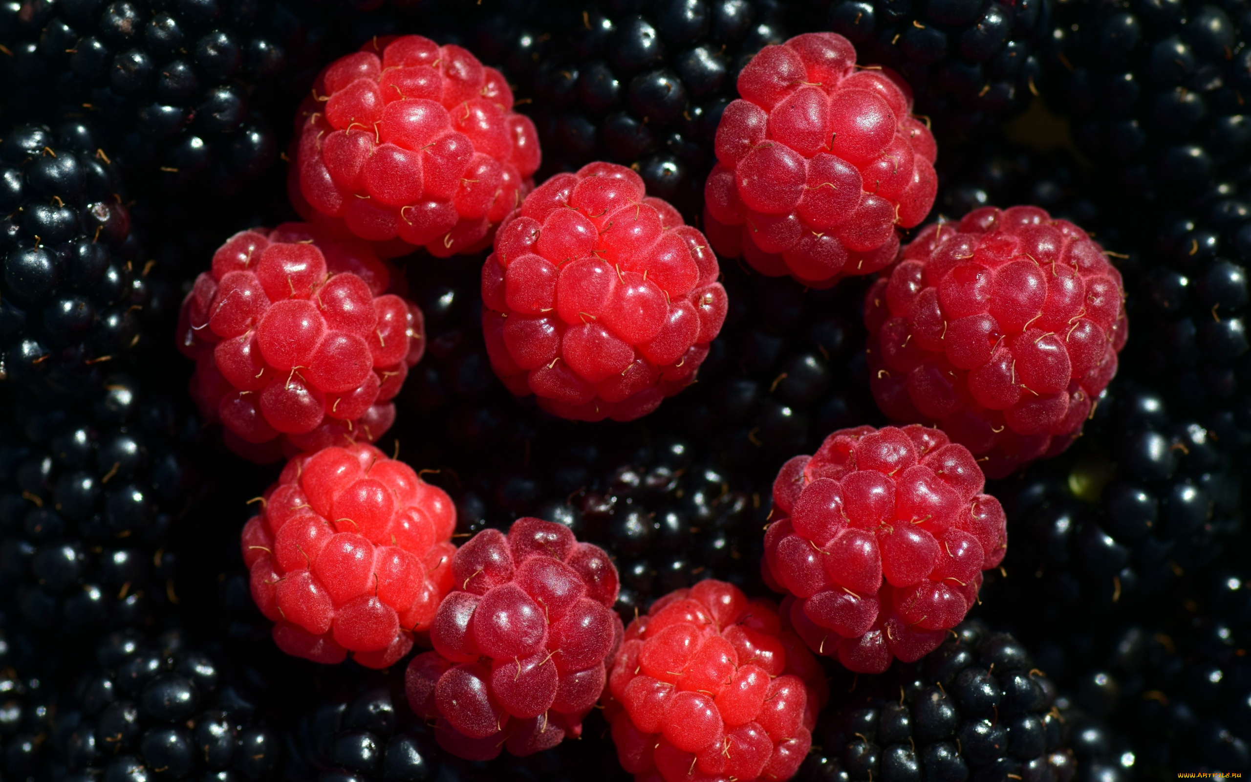 еда, фрукты, , ягоды, ежевика, малина