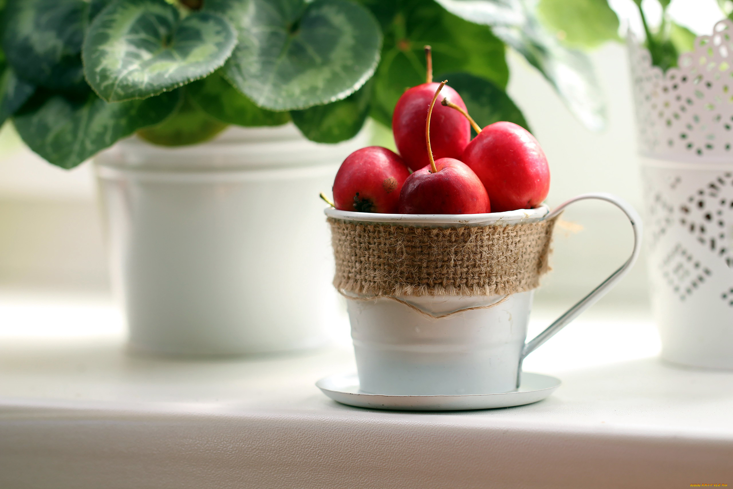 еда, Яблоки, яблоки, райские