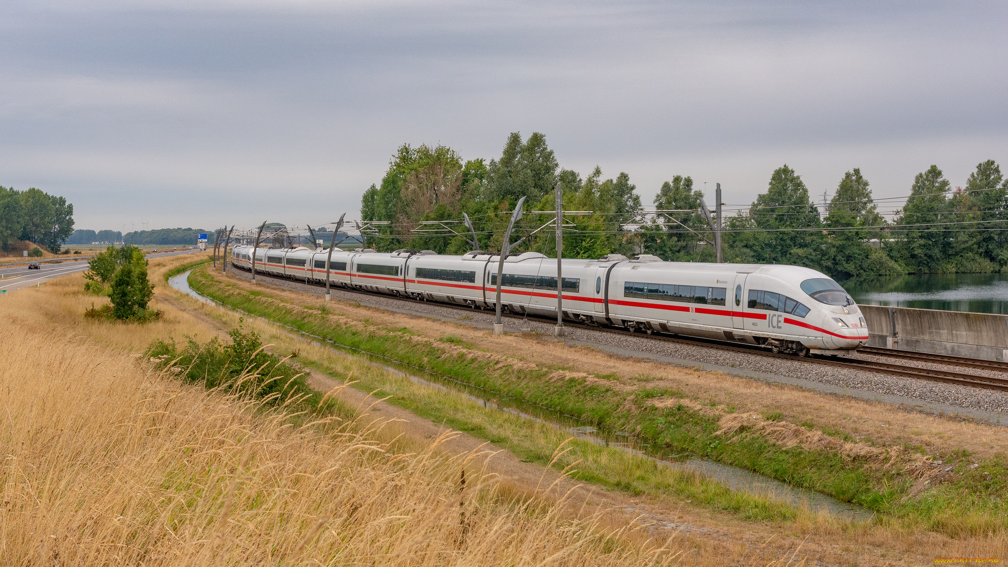 техника, электровозы, состав, локомотив