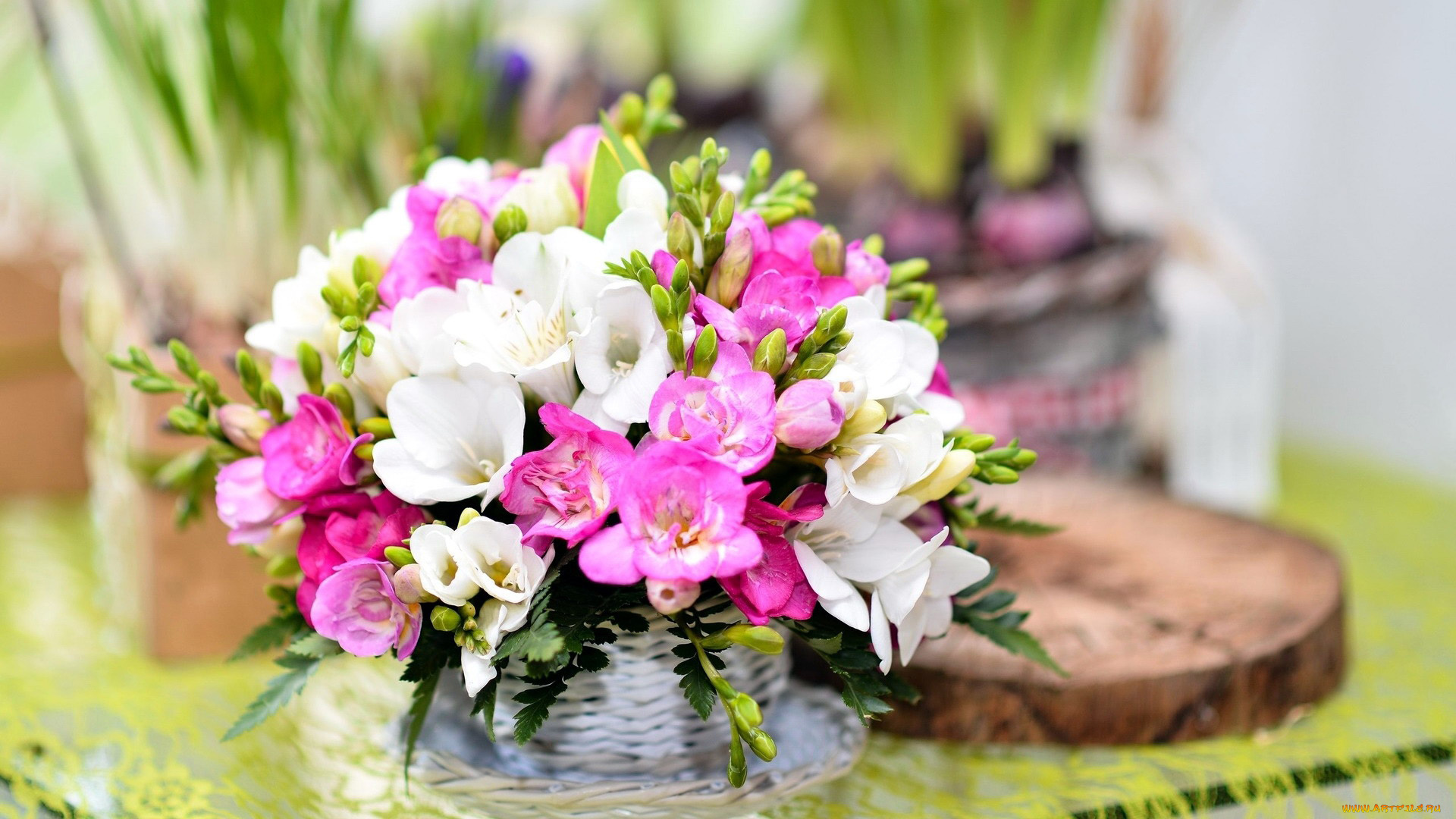 цветы, фрезия, букет