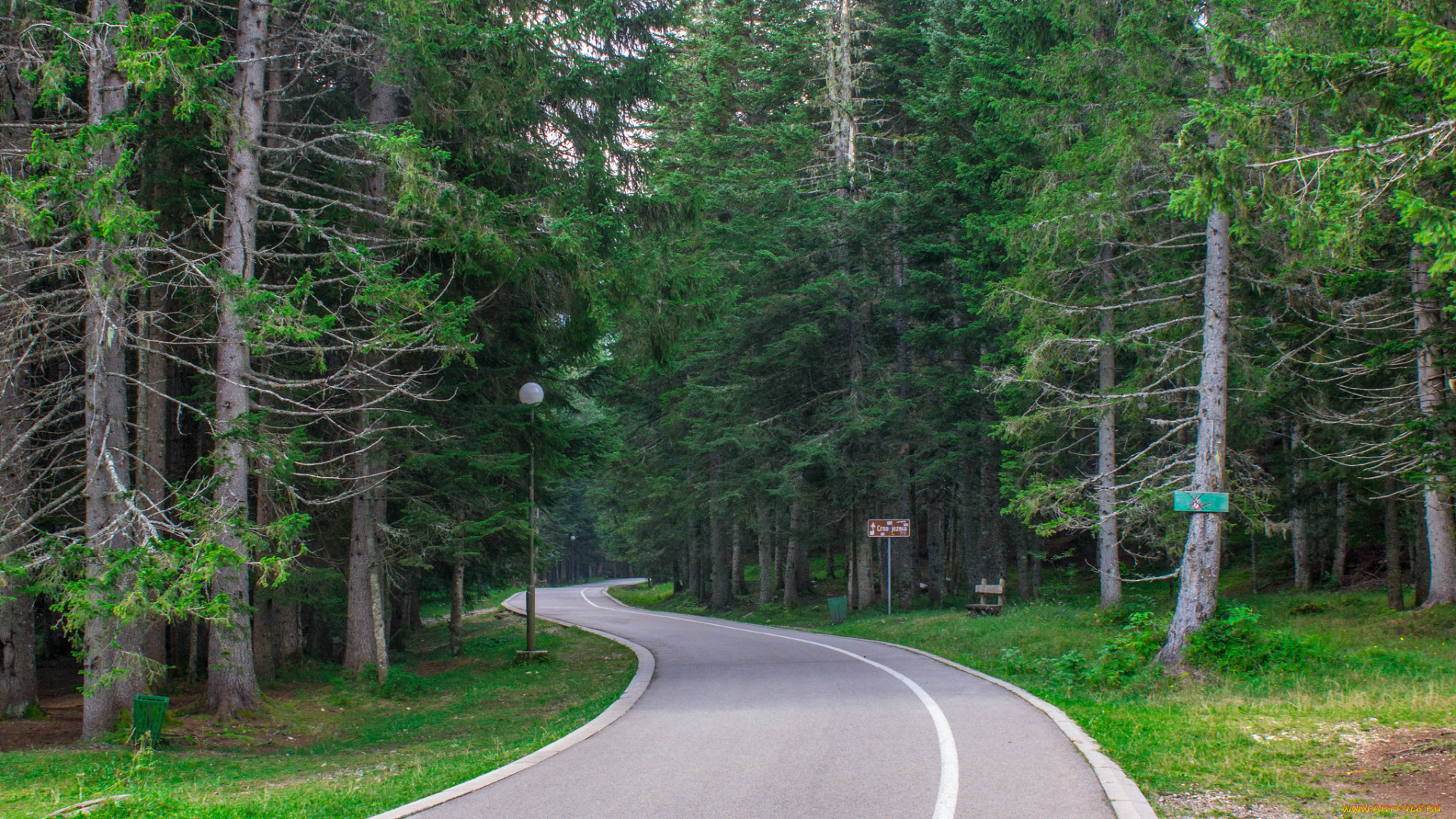 природа, дороги, простор