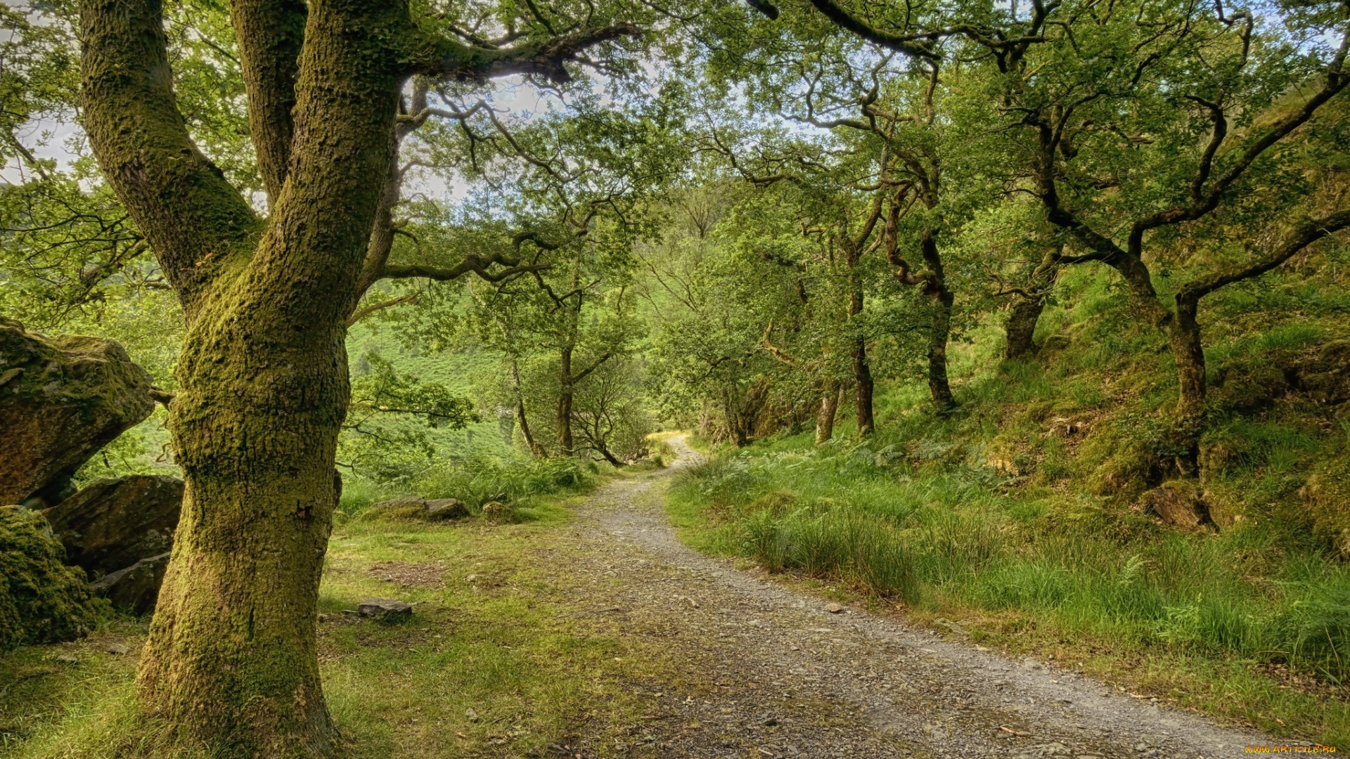 природа, дороги, простор