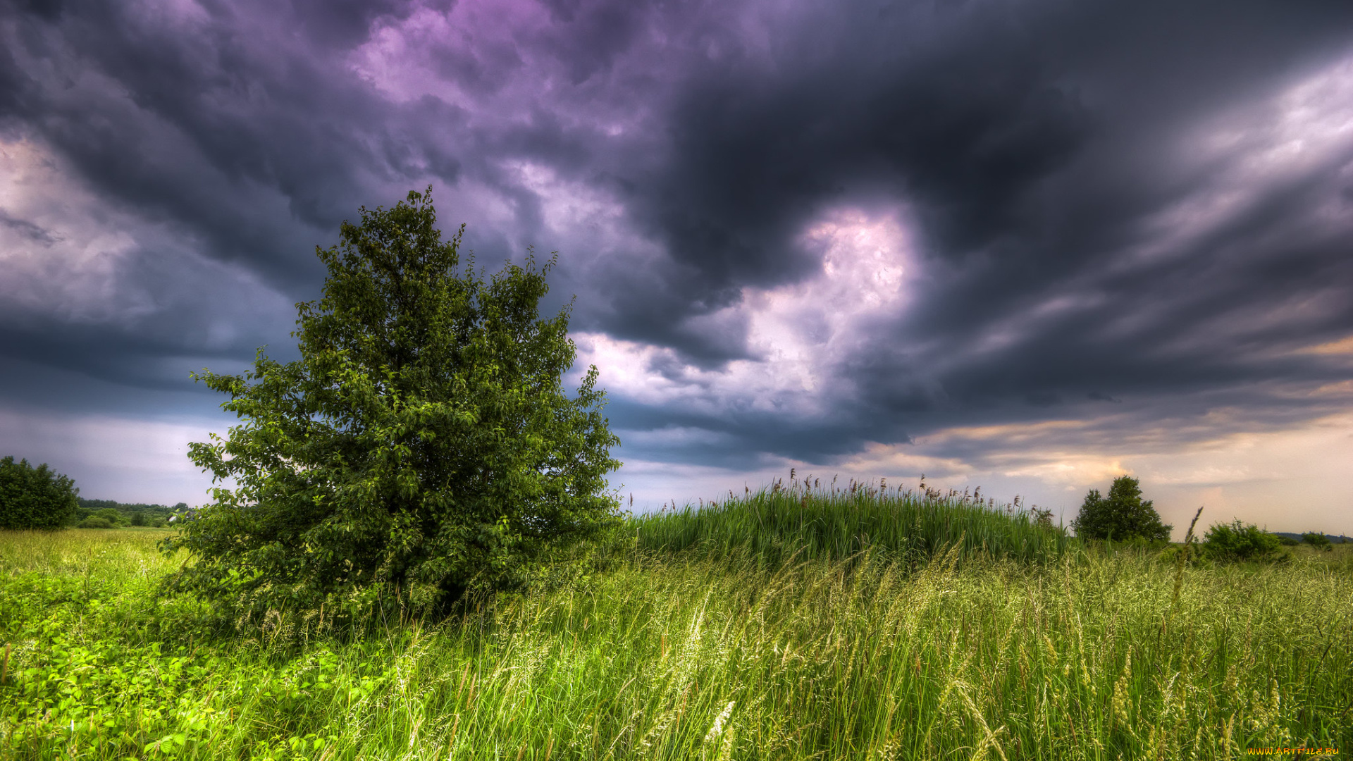 природа, пейзажи, простор