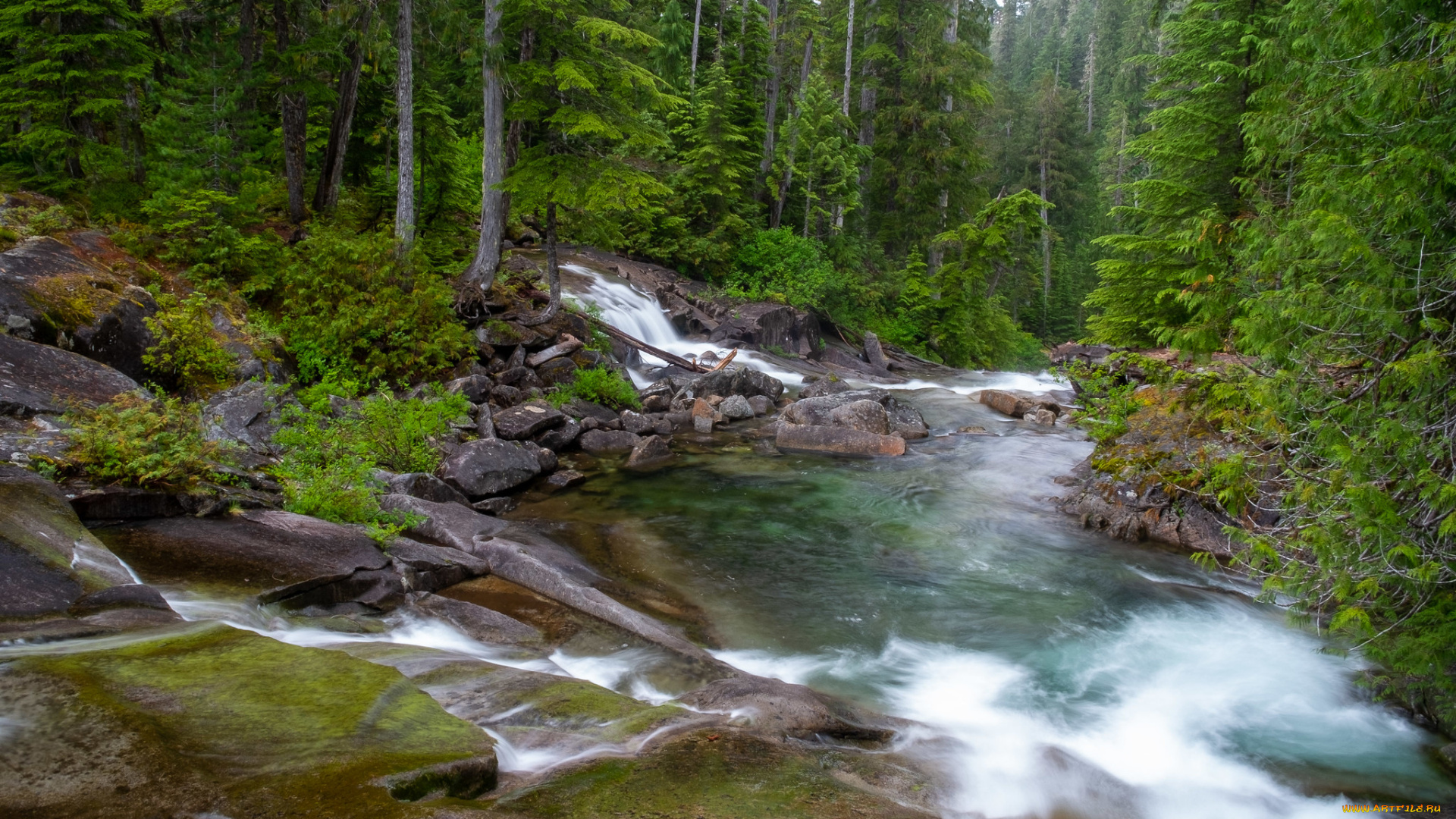 природа, реки, озера, простор