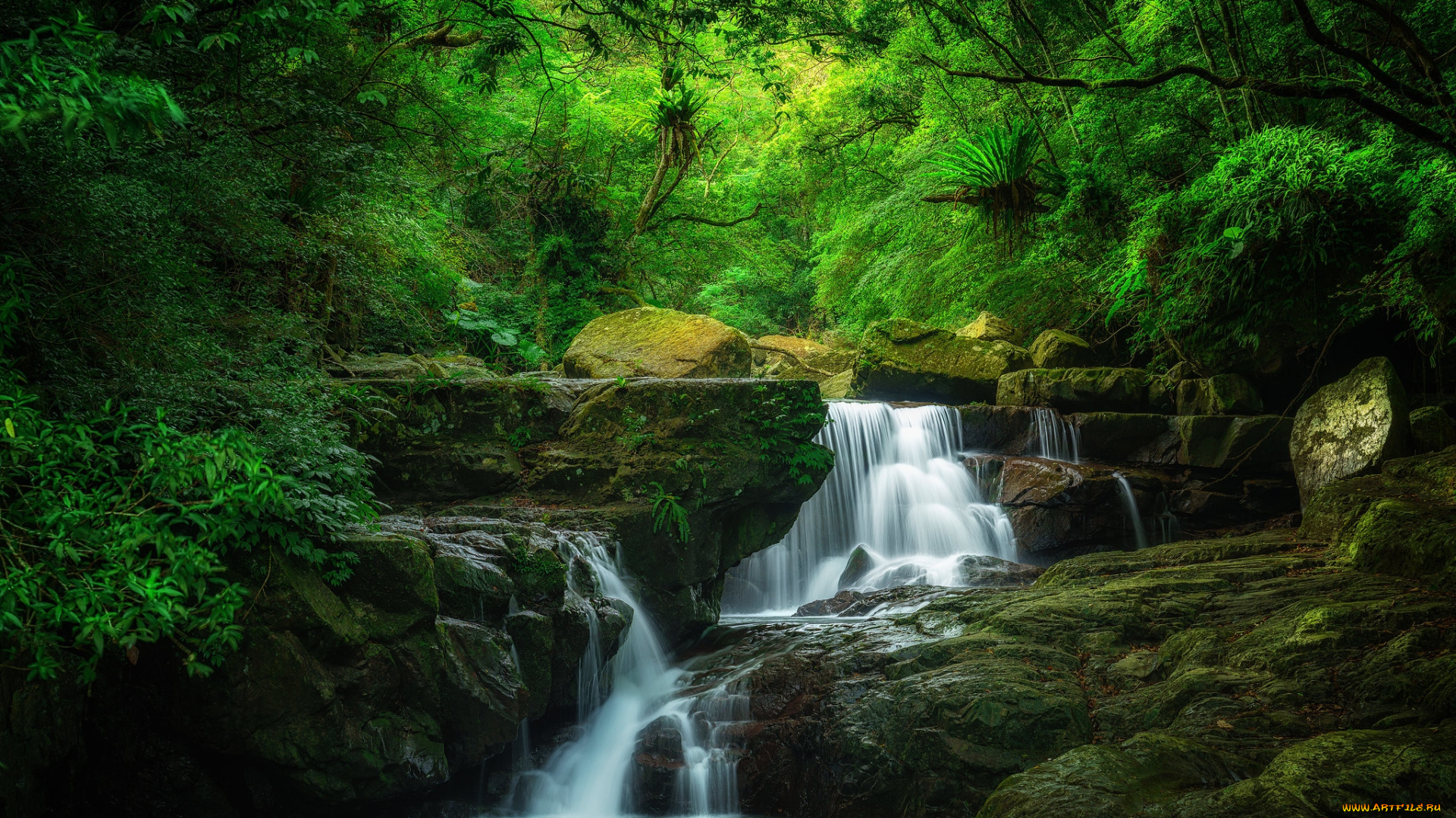 природа, реки, озера, простор