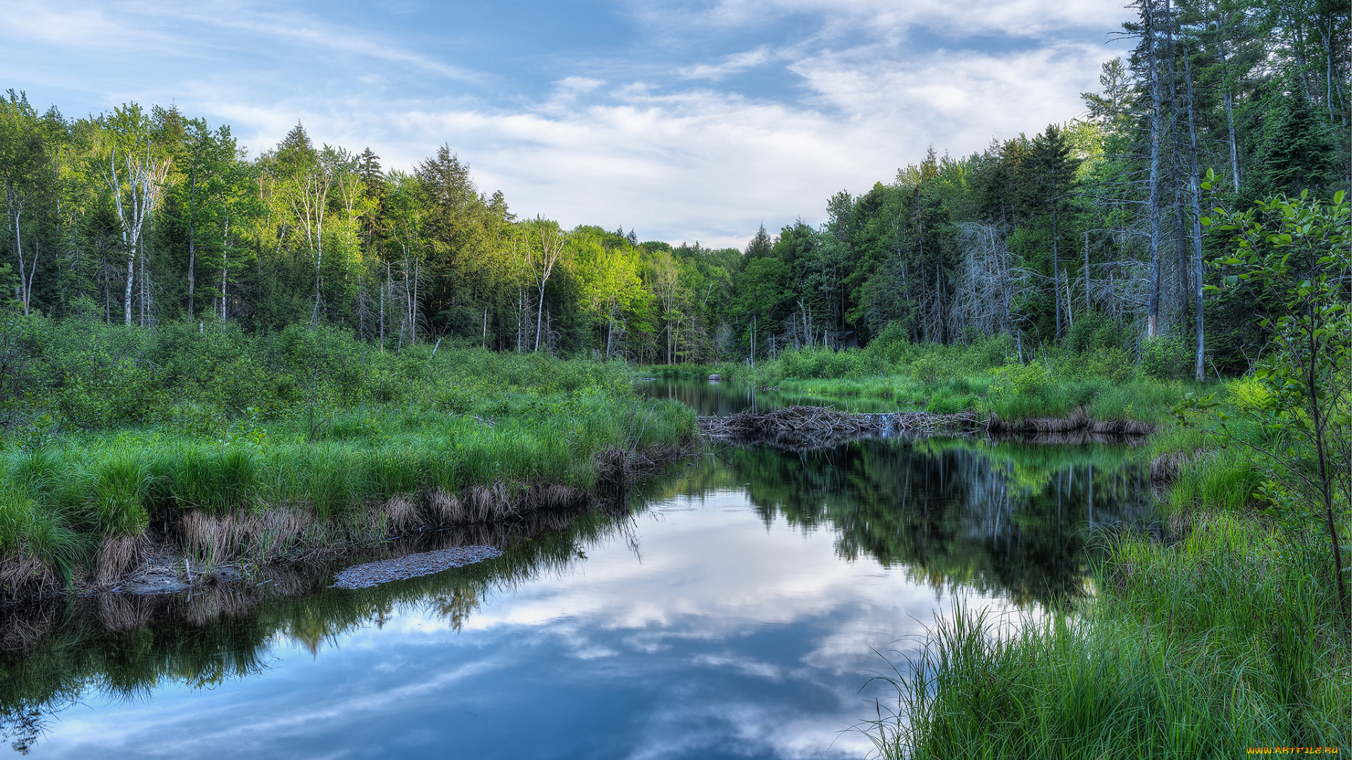 природа, реки, озера, простор