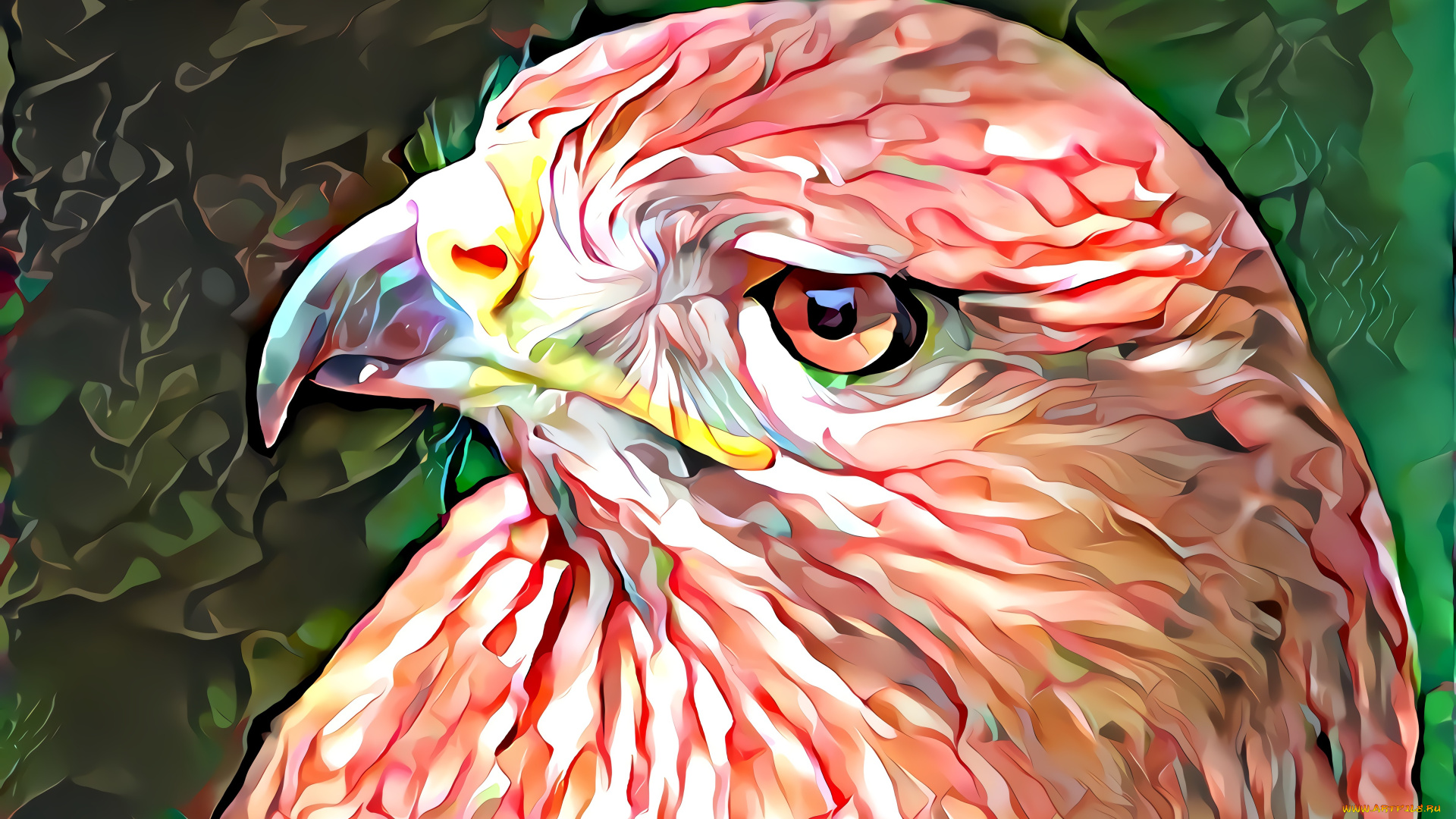 разное, компьютерный, дизайн, орел