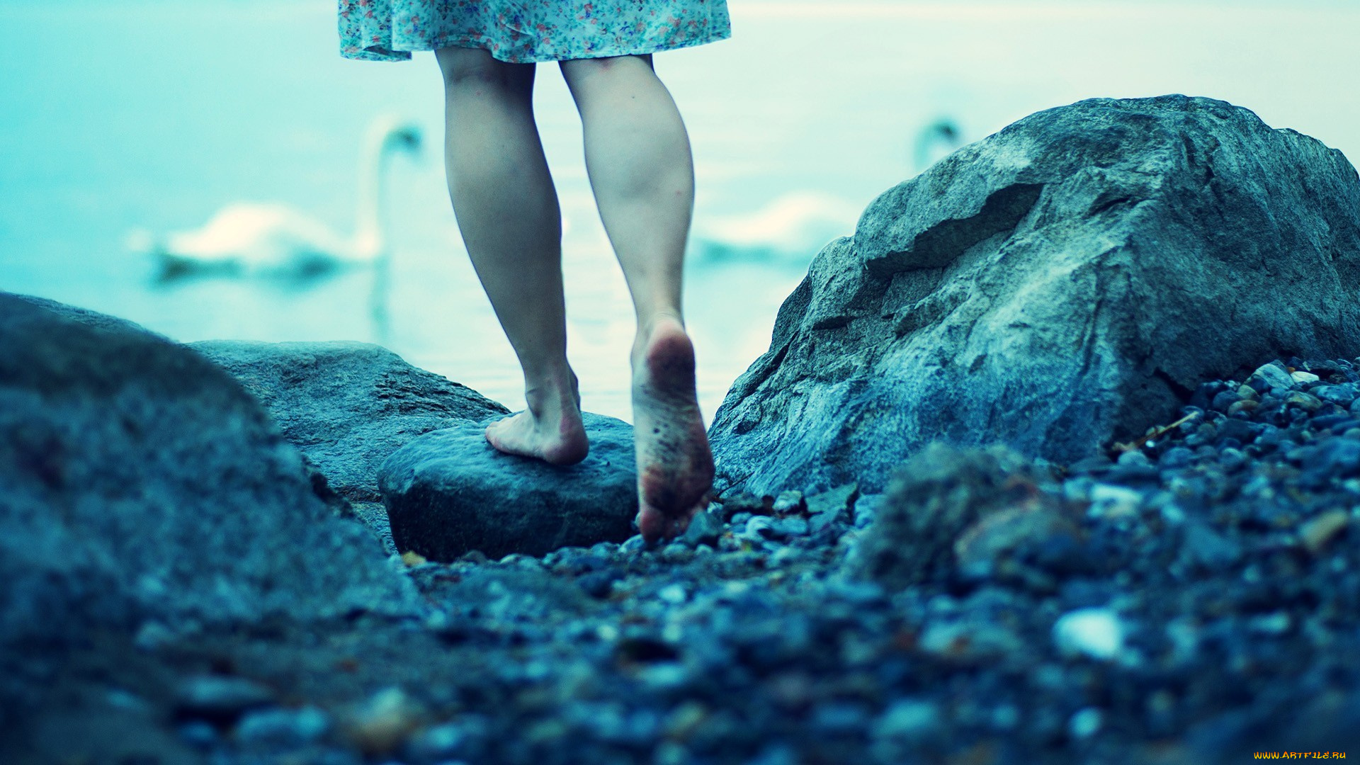 разное, руки, , ноги, лебедь, девушка, ноги, камни