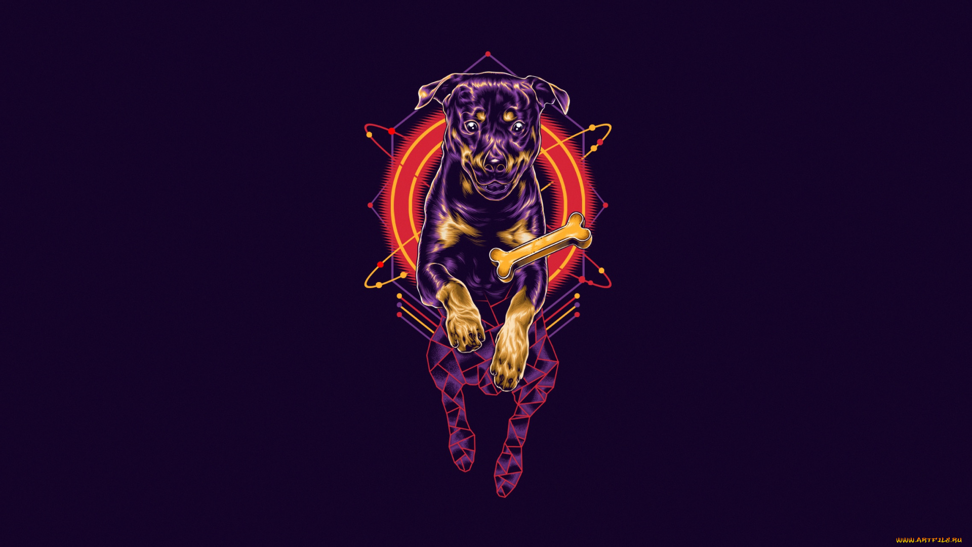 рисованное, минимализм, собака