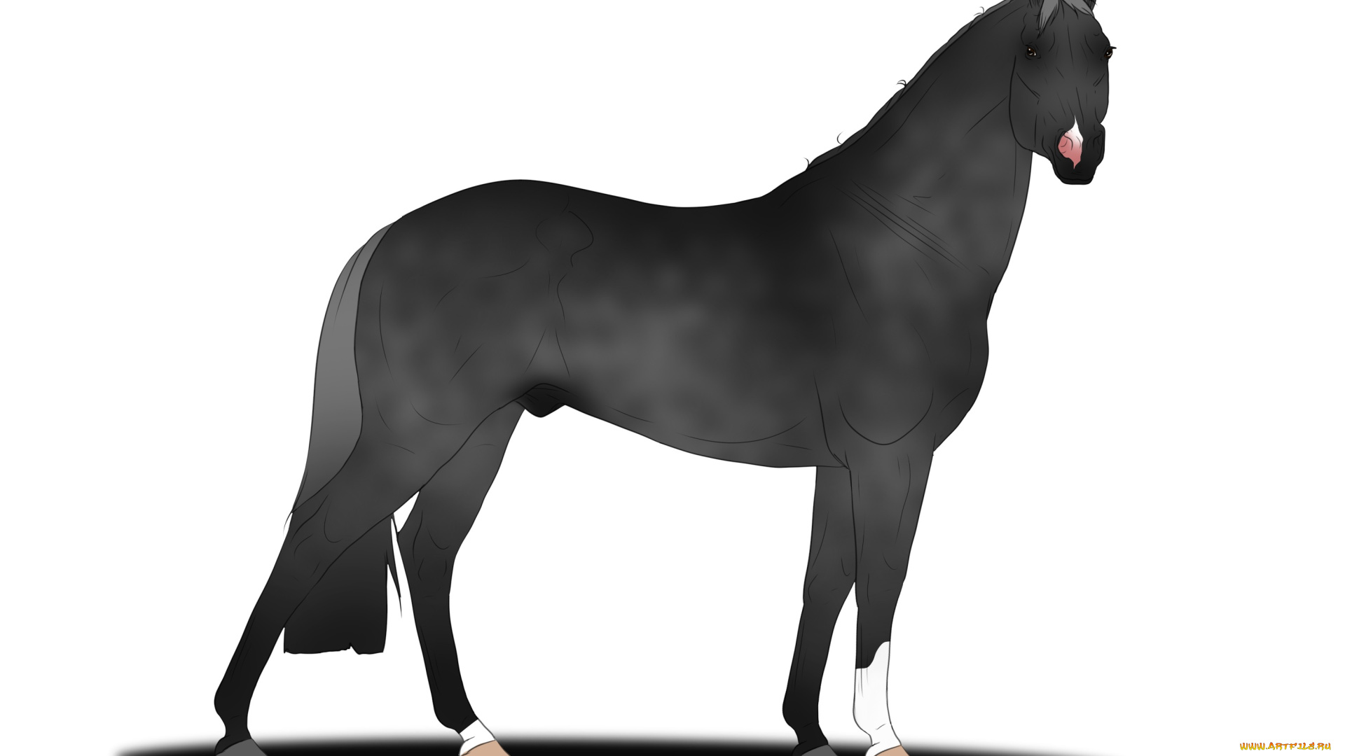 рисованное, животные, , лошади, лошадь