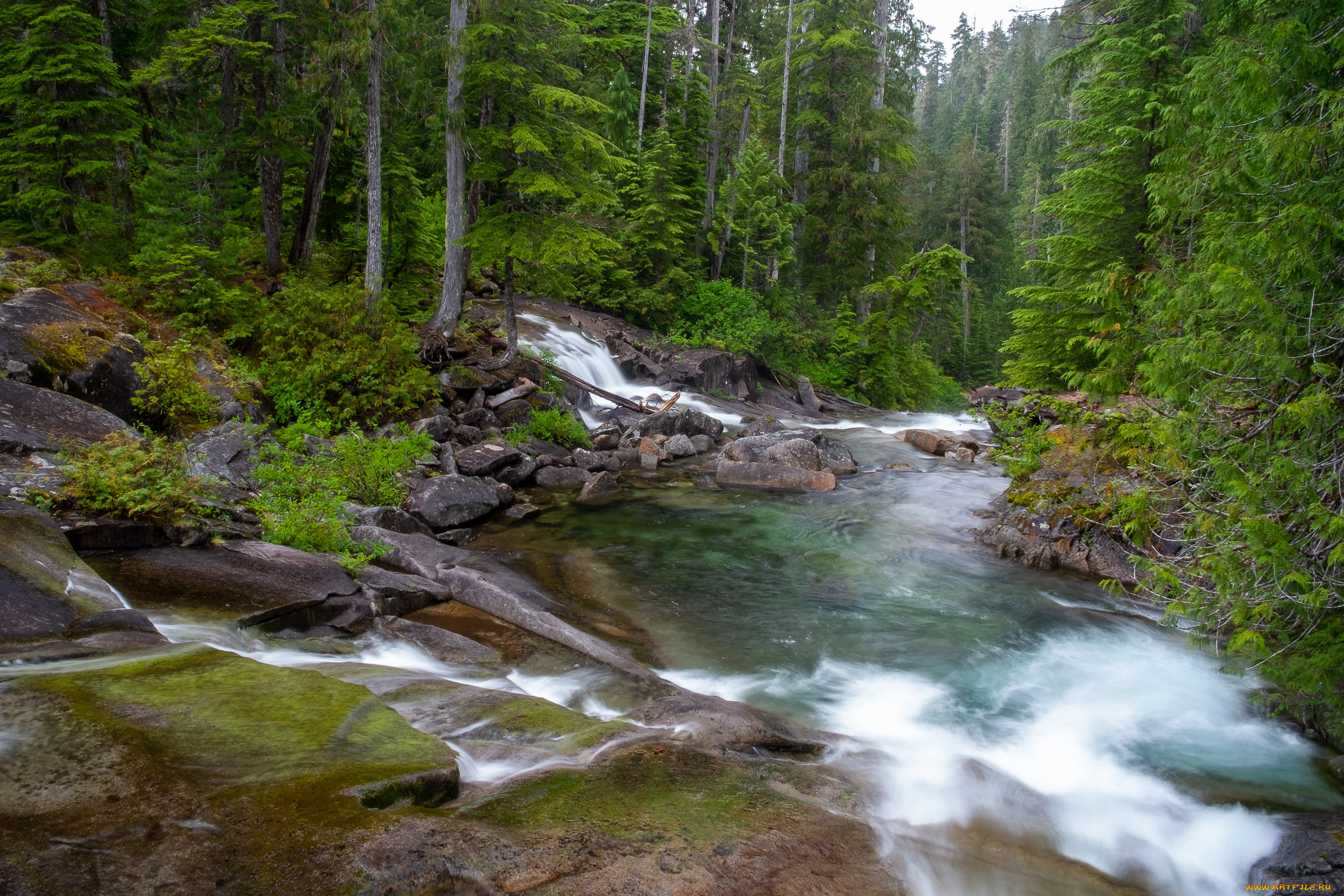 природа, реки, озера, простор