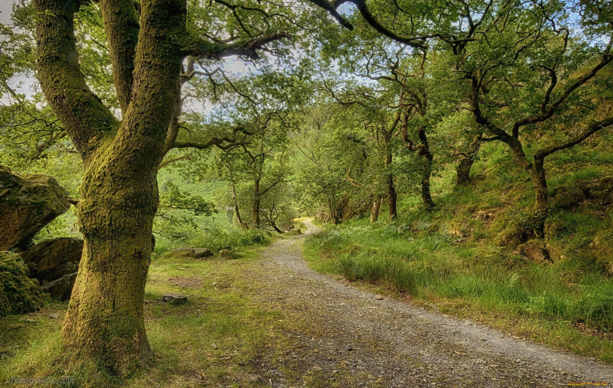 природа, дороги, простор