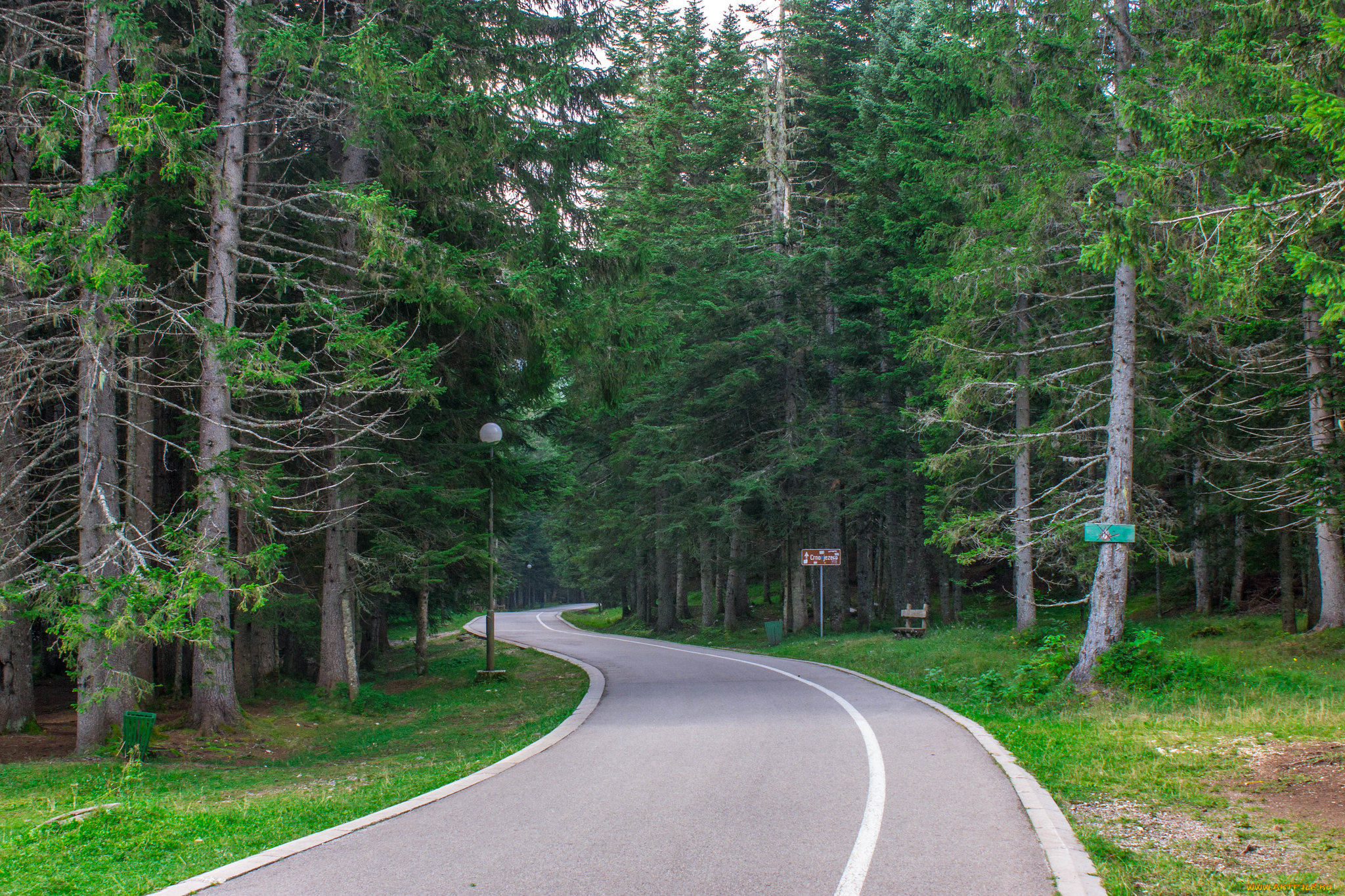 природа, дороги, простор