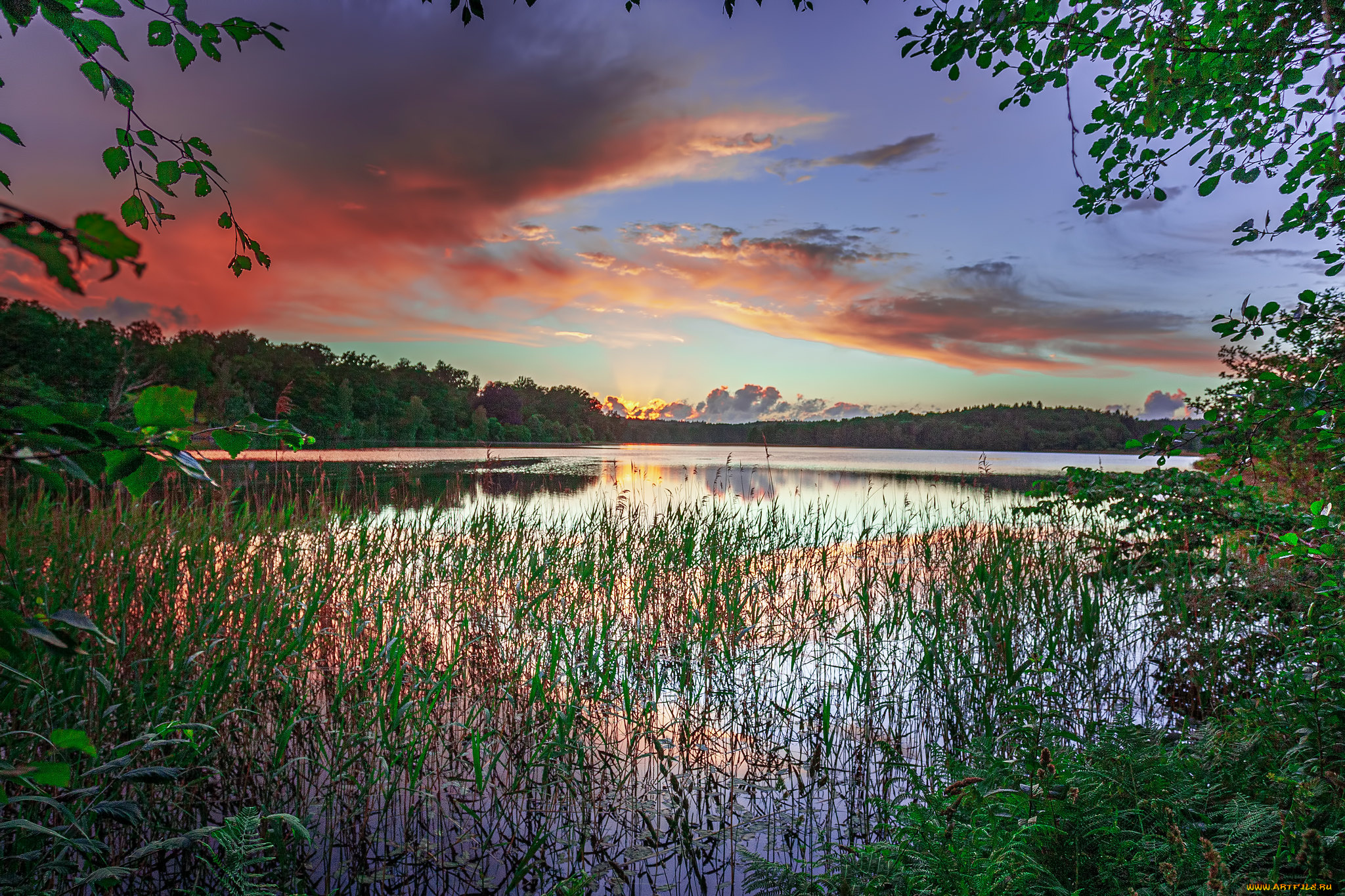 природа, реки, озера, простор